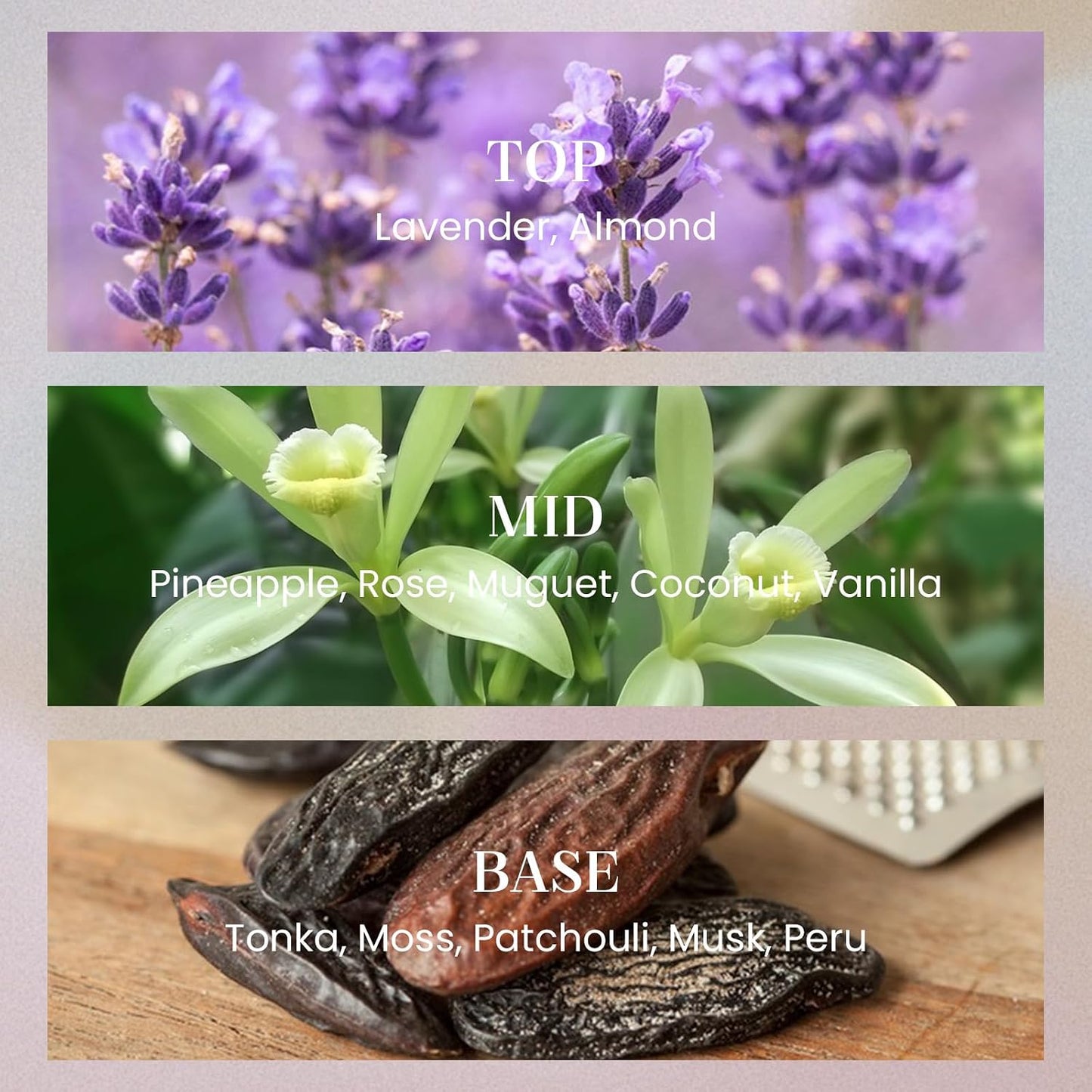 M&SENSE Lavender Vanilla Candles for Home Scented, 2 Wick 12.7oz Soy Wax Candles Non Toxic,70 Hours Long Burning,Non Toxic Candles Gift for Stress Relief, Meditation, Yoga