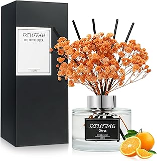 Citrus Reed Diffuser Set, 5.07 fl oz Scented Oil Diffuser with 8 Sticks & Dried Flowers, Home Fragrance for Living Room Bedroom Bathroom, Air Freshener Decor Gift