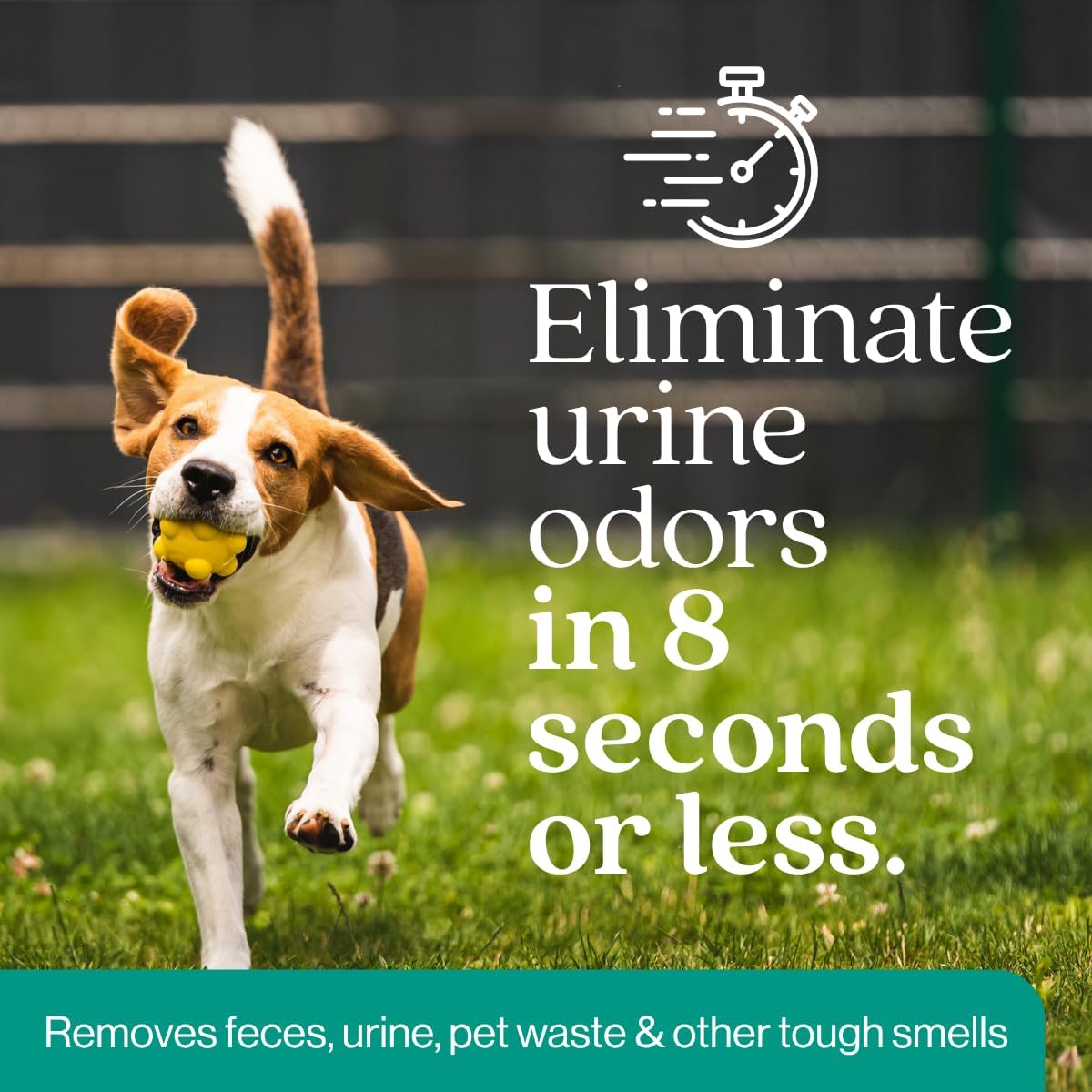 Eco Strong Outdoor Odor Eliminator Outside Dog Urine Enzyme Cleaner Powerful Pet, Cat, Animal Scent Deodorizer | Professional Strength for Yard, Turf, Kennels, Patios, Decks (128 OZ)