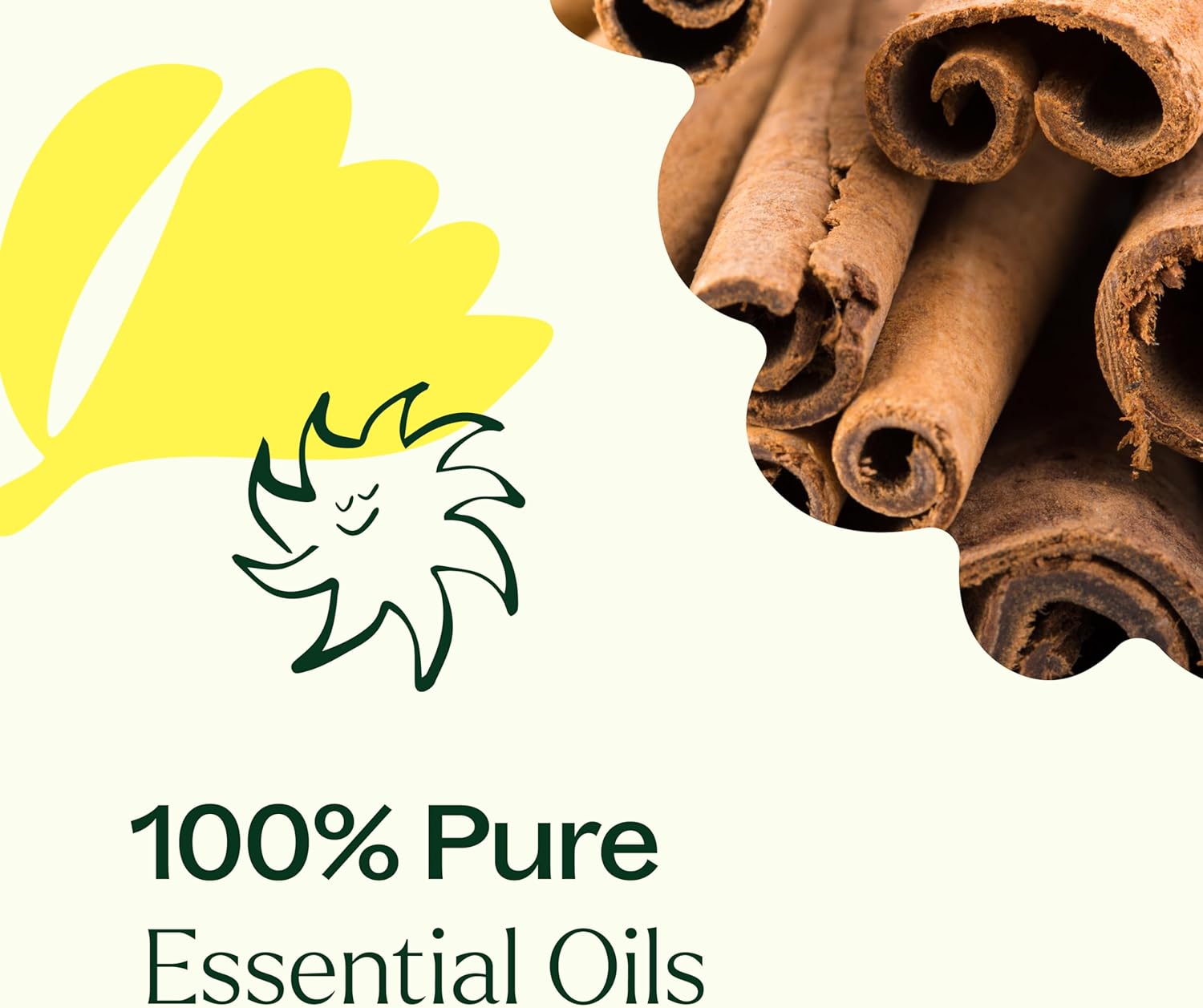 Plant Therapy Organic Fighter Essential Oil Blend 100% Pure, Undiluted, Therapeutic Grade 10 mL (1/3 oz)