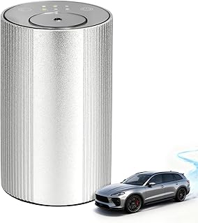 Waterless Diffuser for Essential Oil for Home and car, Sentiment Essential Oil Diffuser with Cold Air Technology, 2 Diffusion Modes, 4 Timer Settings (1/2/4/6H), (Silver)