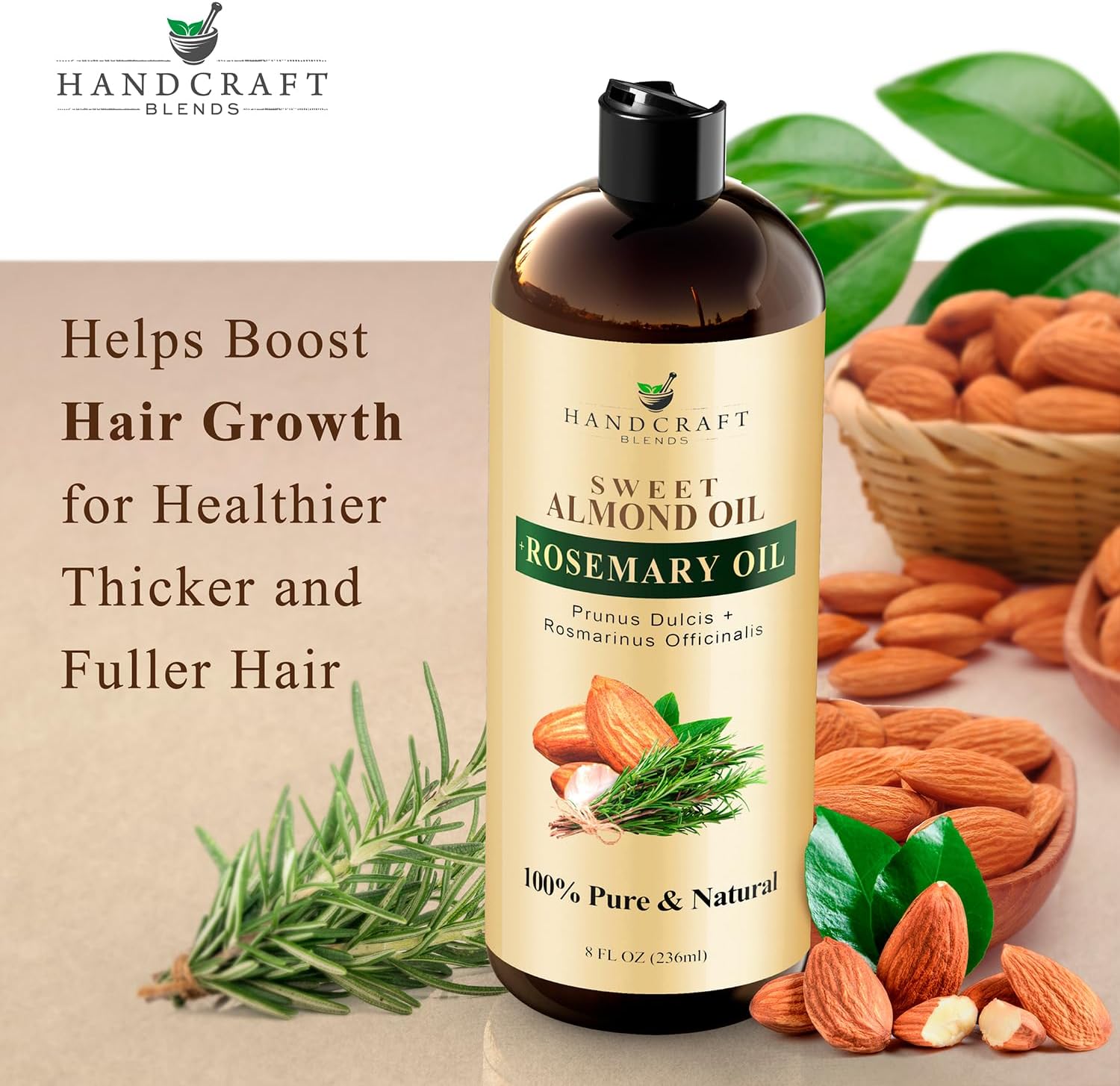 Handcraft Blends Sweet Almond Oil | 100% Pure and Natural | Bath & Body Oil | Premium Grade Carrier Oil | Skin | Hair | Body | Massage | Hexane-Free | with Rosemary Oil | 8 Fl Oz