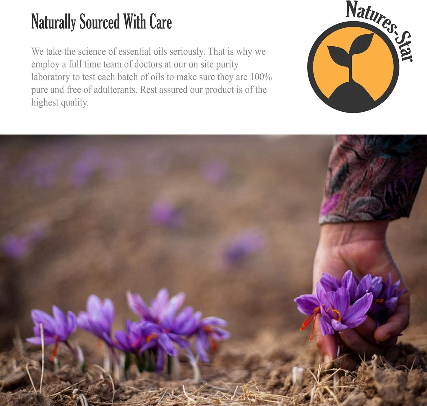 Natures-Star 16oz - Bulk Size Tea Tree Essential Oil (16 Ounce Total) - Therapeutic Grade Essential Oil - 16 Fl Oz Bottle