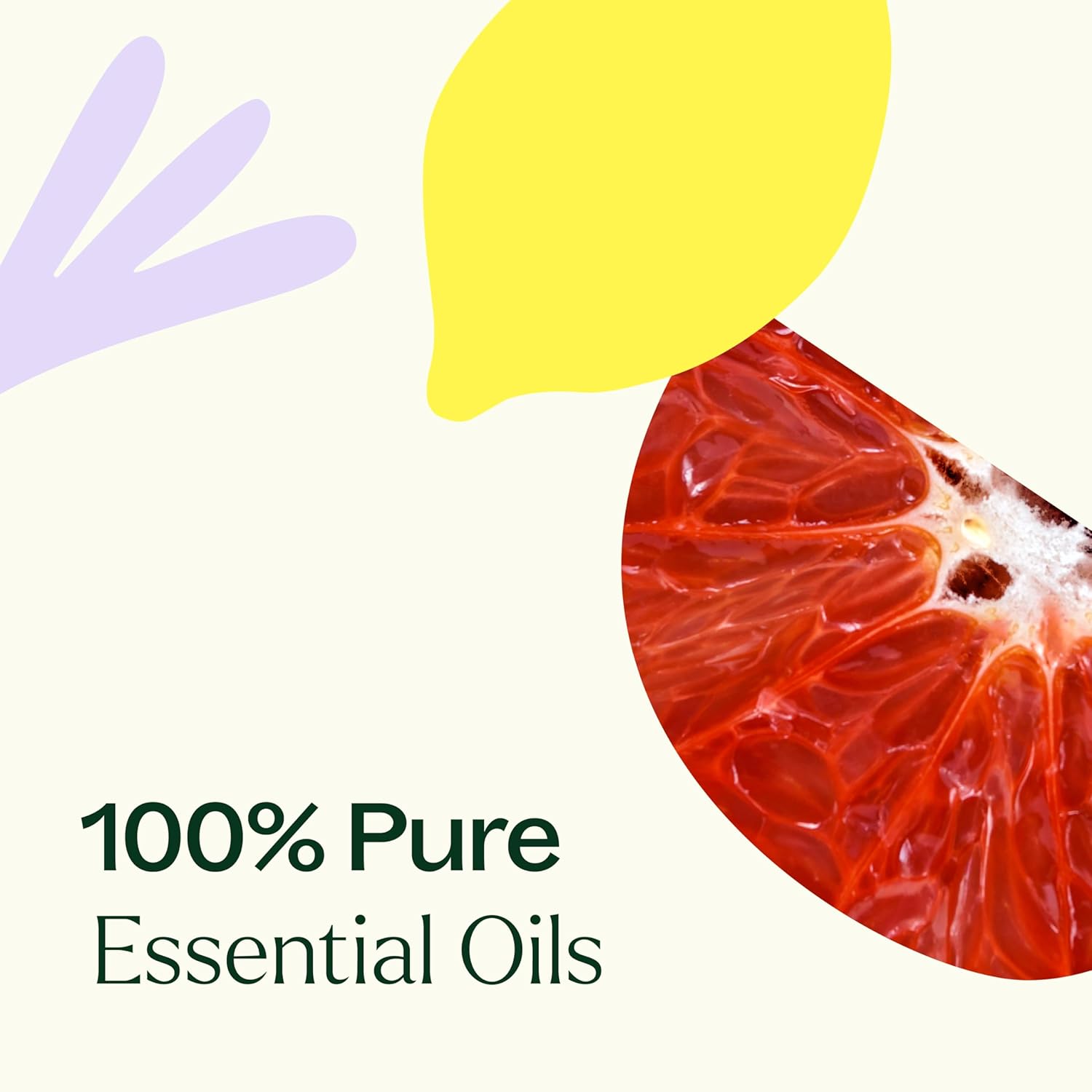 Plant Therapy Defender Essential Oil Blend 10 mL (1/3 oz) – 100% Pure, Undiluted Immune Support & Uplifting Aromatherapy