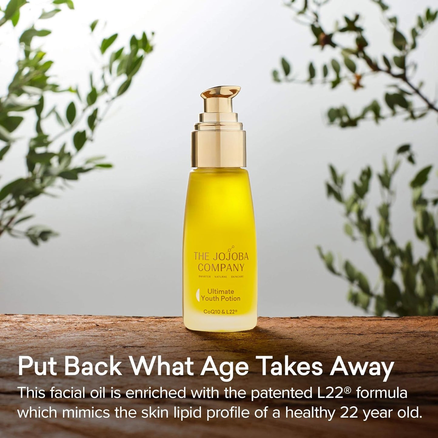 The Jojoba Company Ultimate Youth Potion 50ml – Anti-Aging Face Oil with Natural Jojoba, L22 Lipid Complex – Firms, Hydrates, Boosts Collagen & Elasticity – Glowing Skin Serum for Women & Men