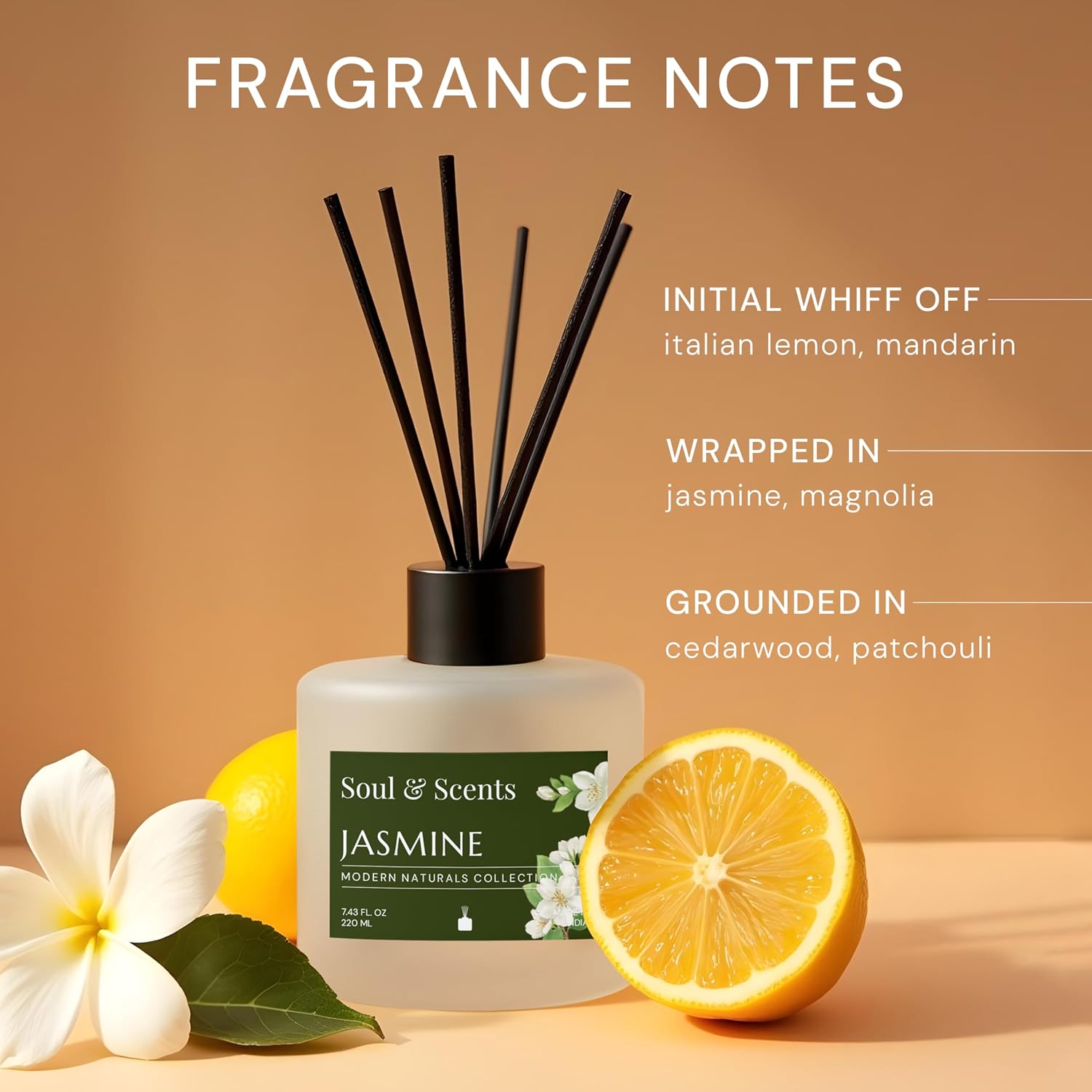 Soul & Scents Reed Diffuser Set – Jasmine | 7.43 oz Refillable Scented Oil with 6 Fiber Sticks | Long-Lasting Home Fragrance & Air Freshener for Bedroom, Bathroom, Office | Gift & Décor Piece