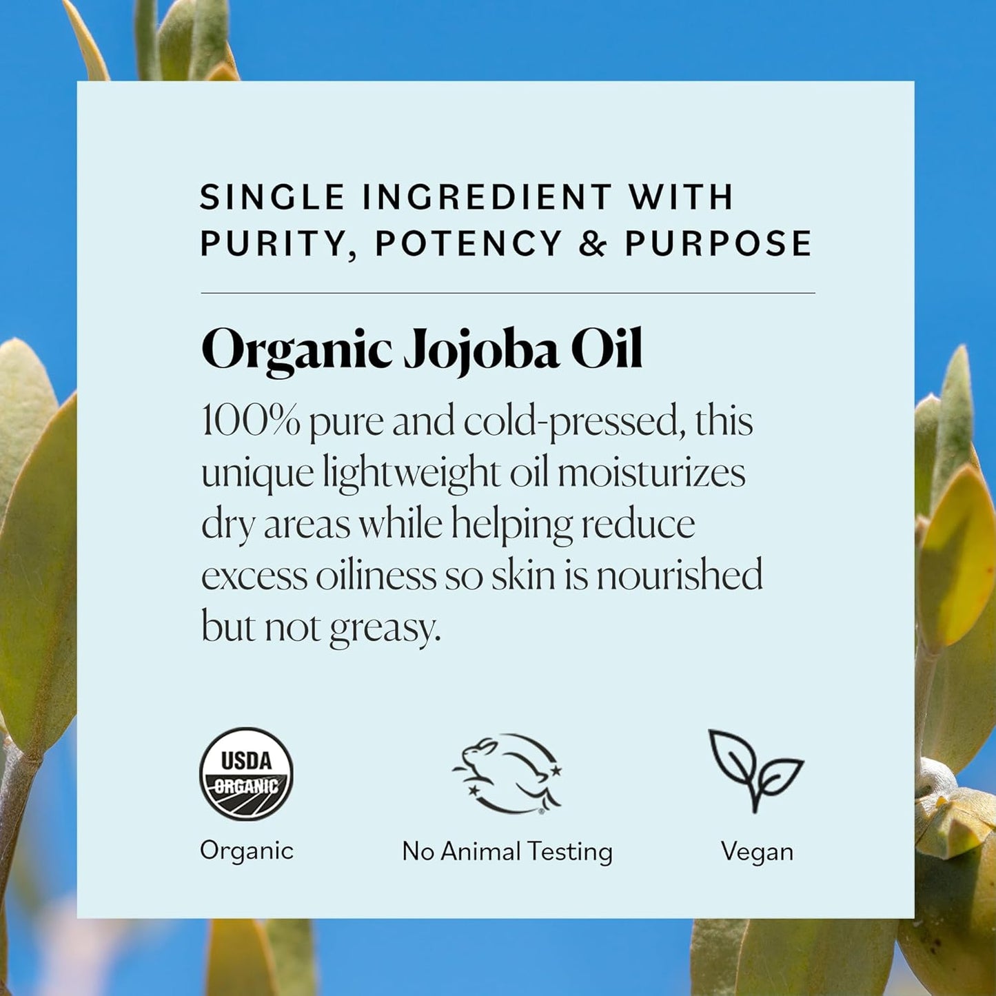 Sky Organics Organic Jojoba Oil, 100% Pure | Moisturizing for Face, Hair, Skin & Nails | Natural Cold Pressed Hexane Free | Base Carrier Oil