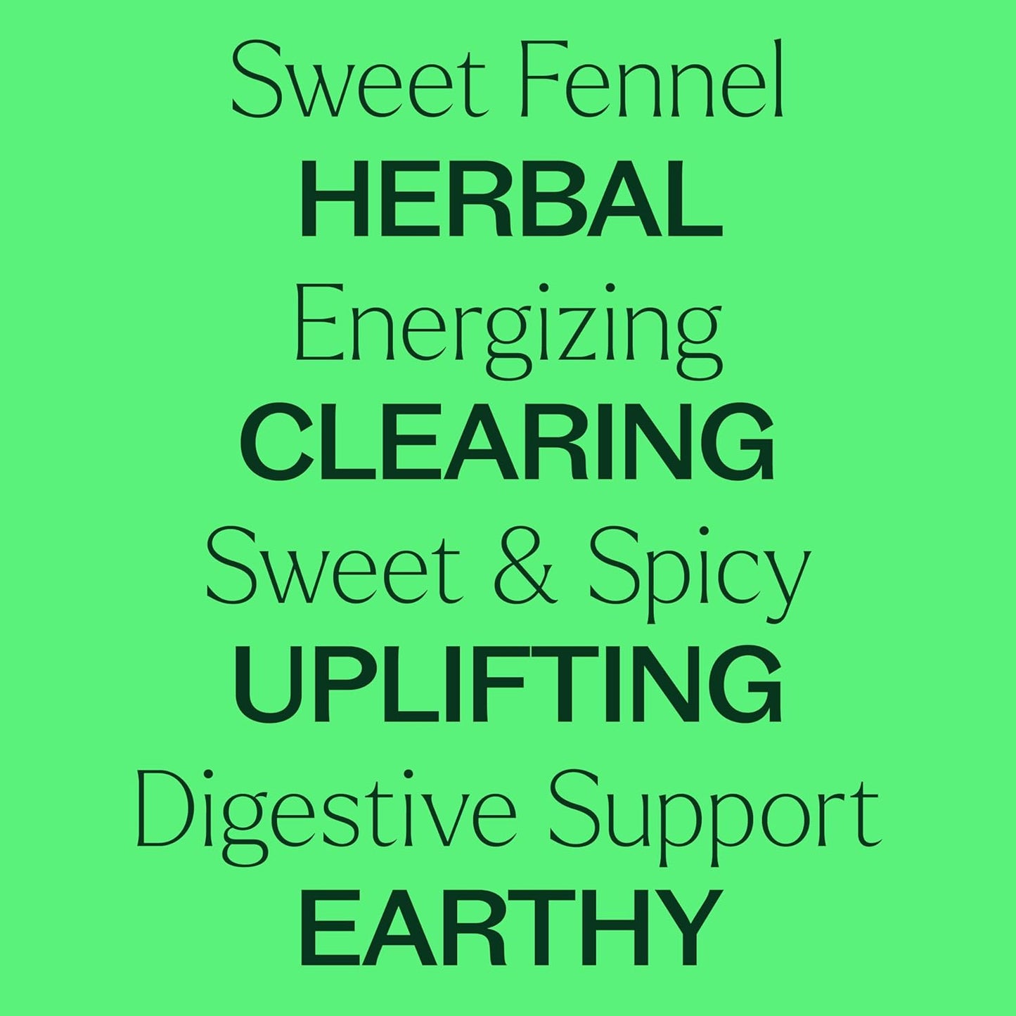 Plant Therapy Sweet Fennel Essential Oil 10 mL (1/3 oz) 100% Pure, Undiluted, Aromatherapy for Attention, Focus, and Digestive Discomfort