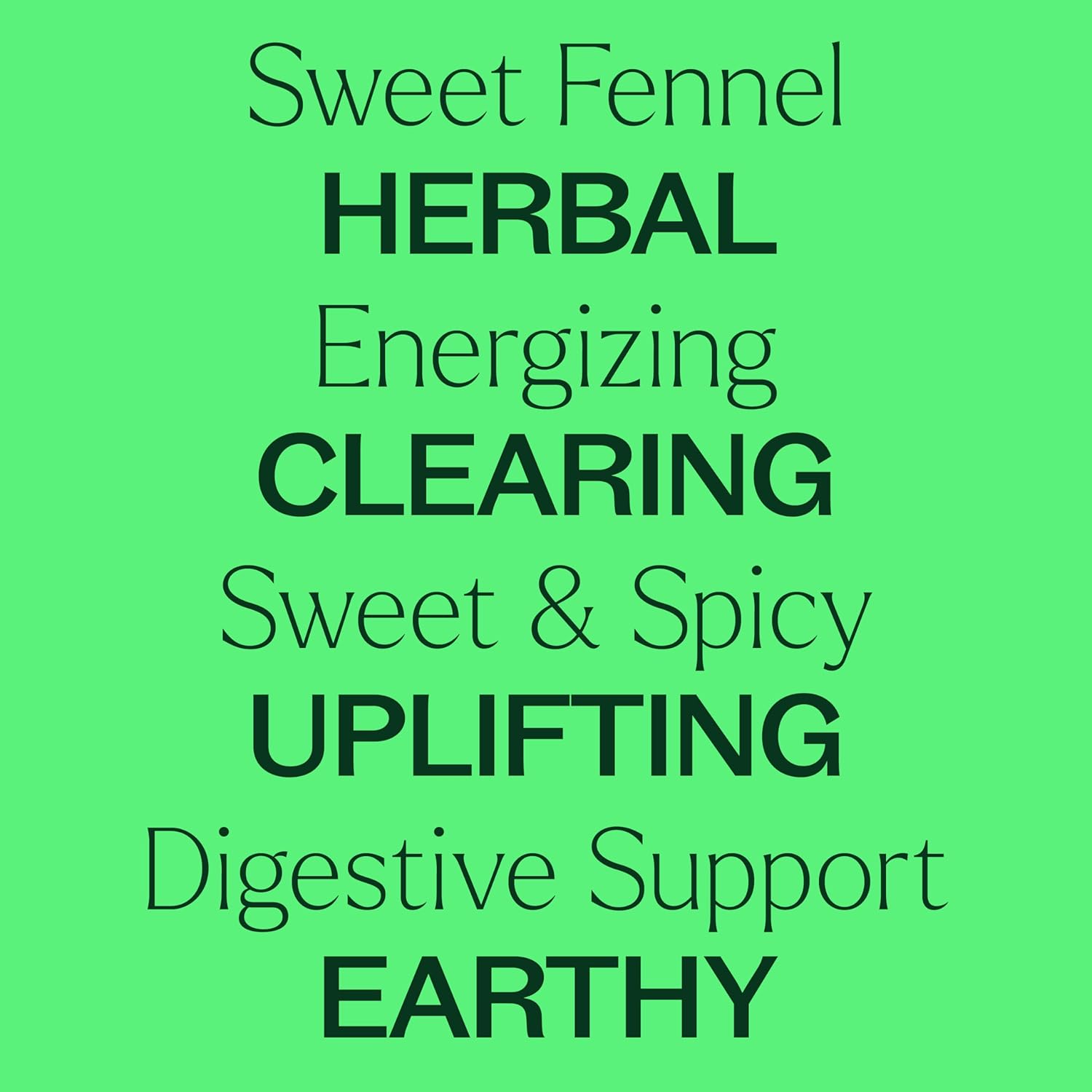 Plant Therapy Sweet Fennel Essential Oil 10 mL (1/3 oz) 100% Pure, Undiluted, Aromatherapy for Attention, Focus, and Digestive Discomfort