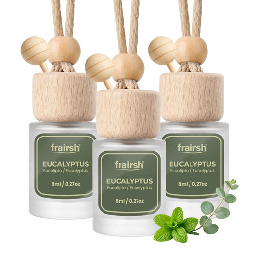 Hanging Car Air Freshener 3 Count