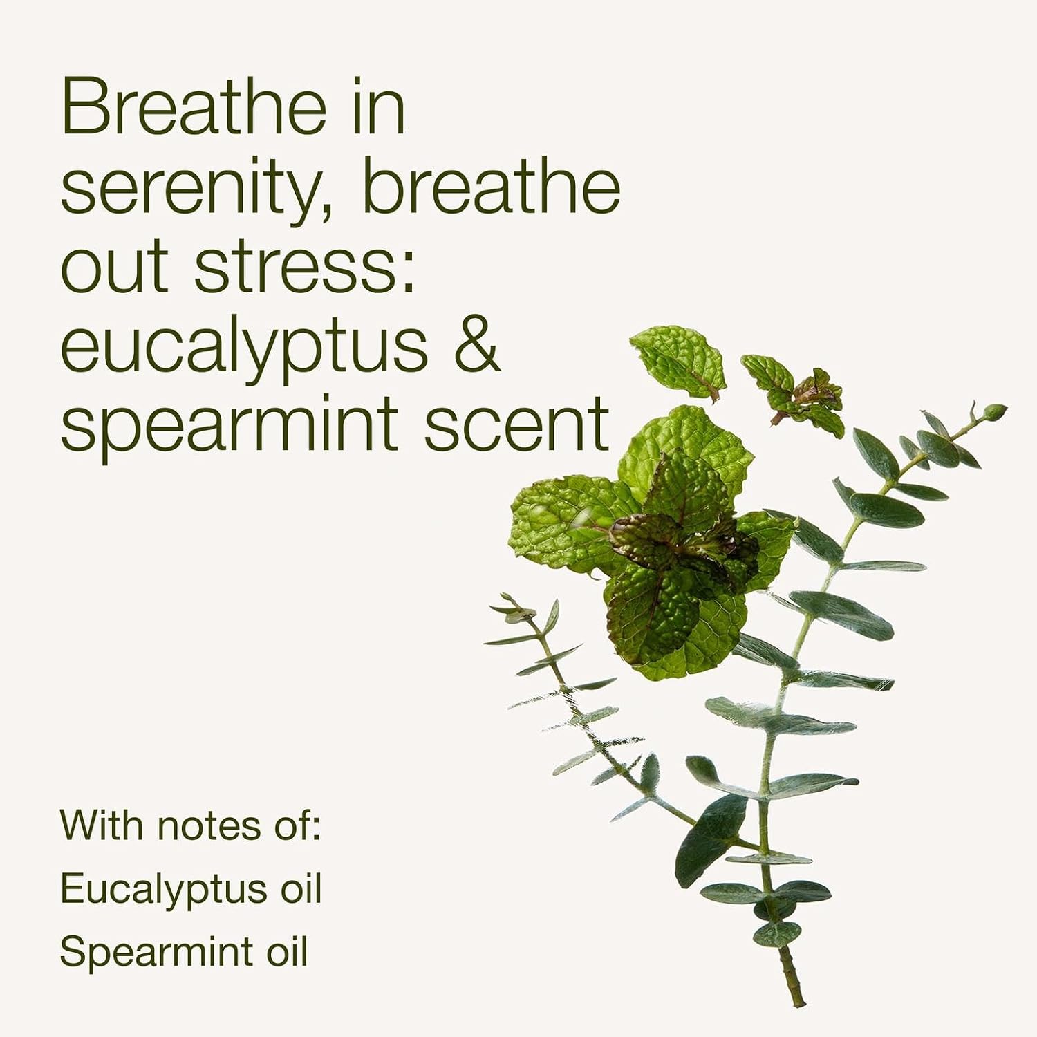 Bath & Body Works Eucalyptus Spearmint Body Wash & Foam Bath, Aromatherapy Cleanser with Vitamin E & Aloe, Non-Drying & Gentle for Daily Use, 10 fl oz - 1 Pack