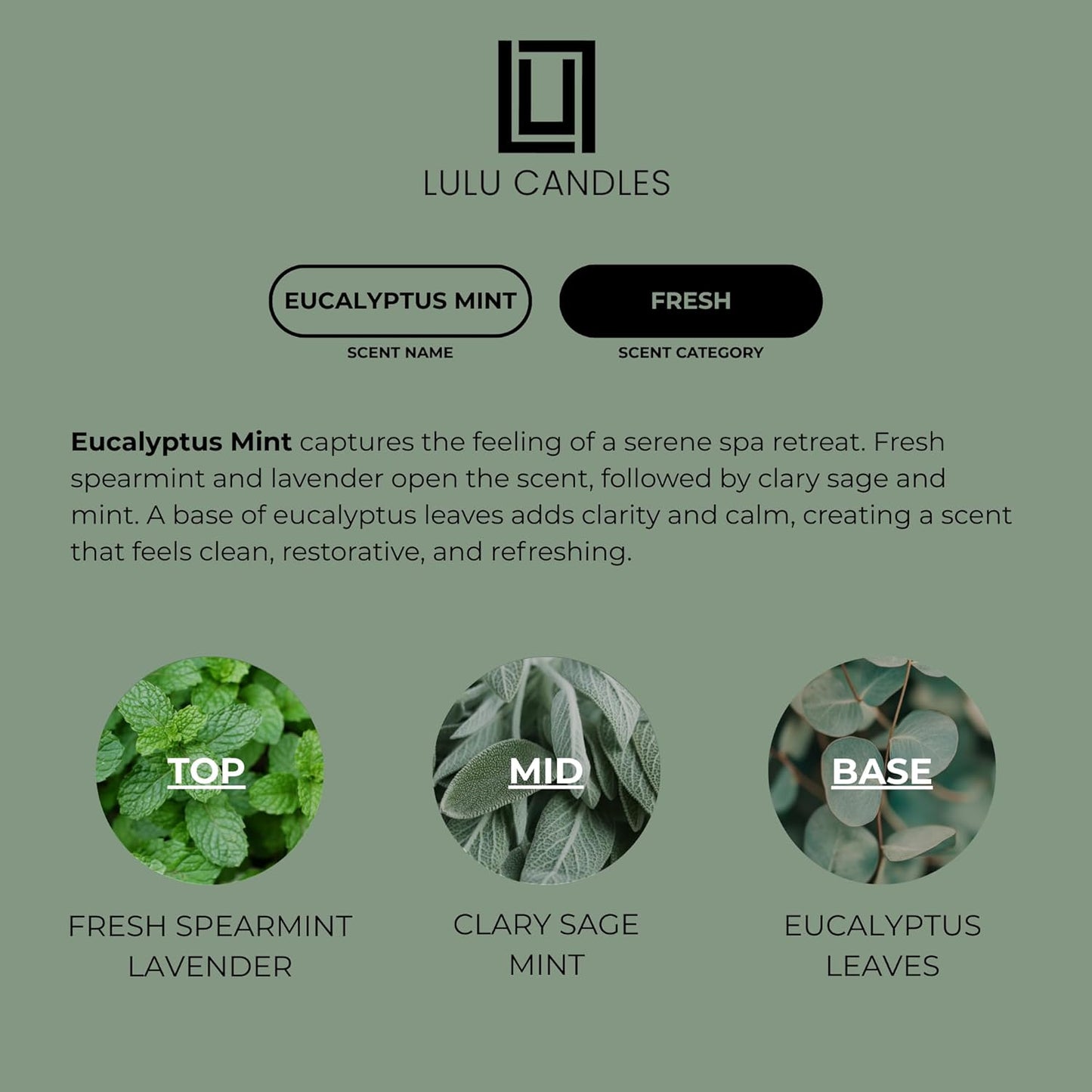 Aroma by Lulu - Eucalyptus Spearmint - Luxury Fragrance Oil for Waterless Cold Air Diffusers - Aromatherapy Fragrance Oil Blend for The Home or Office