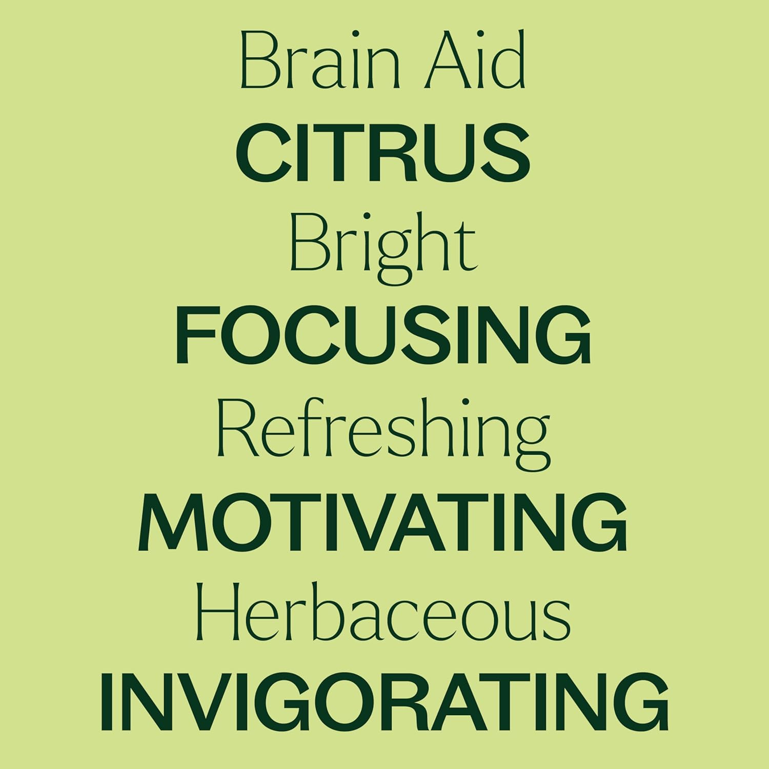 Plant Therapy Brain Aid Essential Oil Blend 10 mL (1/3 oz), 100% Pure & Undiluted, Aromatherapy for Focus, Concentration & Mental Clarity