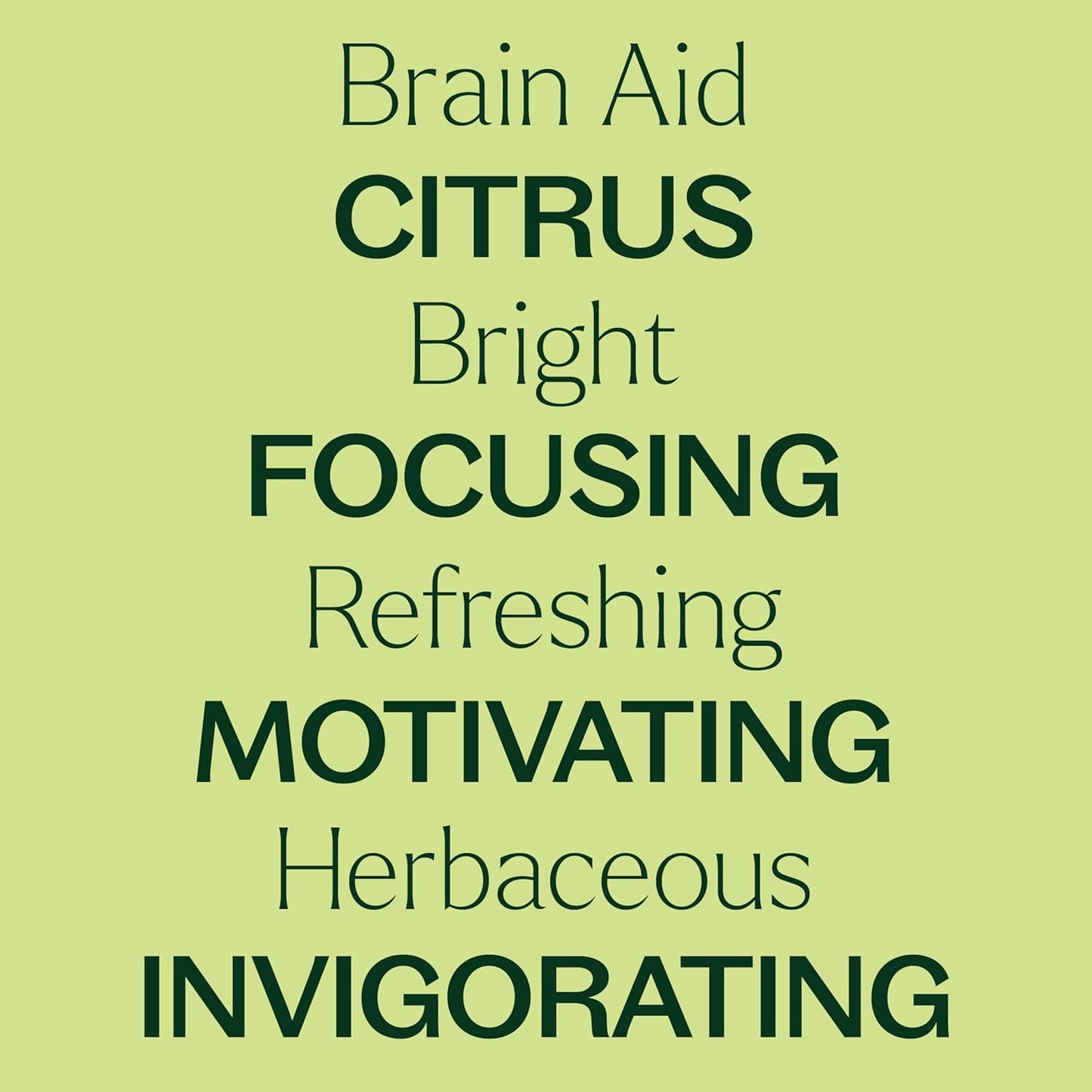 Plant Therapy Brain Aid Essential Oil Blend 30 mL (1 oz), 100% Pure & Undiluted, Aromatherapy for Focus, Concentration & Mental Clarity
