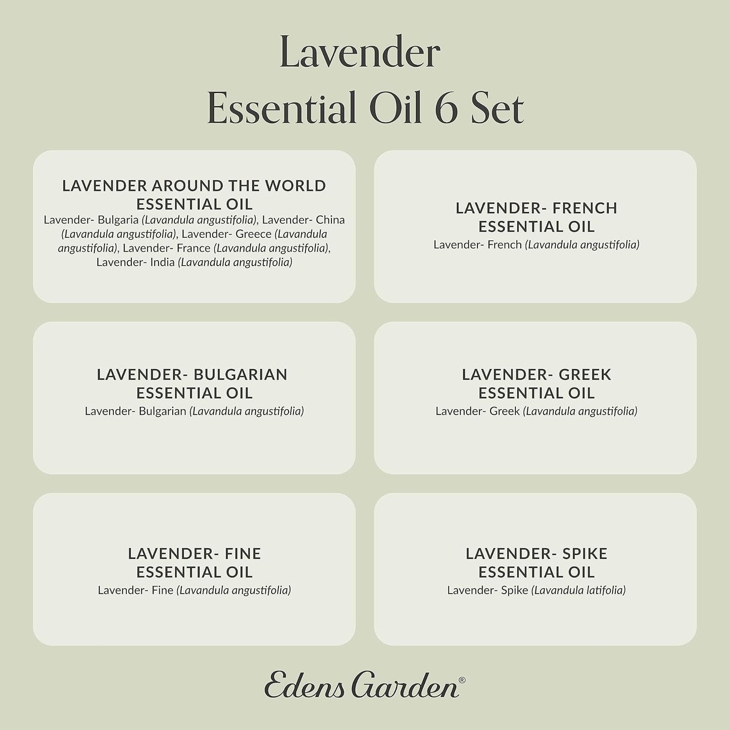 Edens Garden Lavender Essential Oils 6 Set – 100% Pure Therapeutic Grade Aromatherapy for Stress Relief, Calming & Home Diffusers – Natural, Vegan & Fragrance Oil Free Floral Scents, 10 ml/ 6 Pack