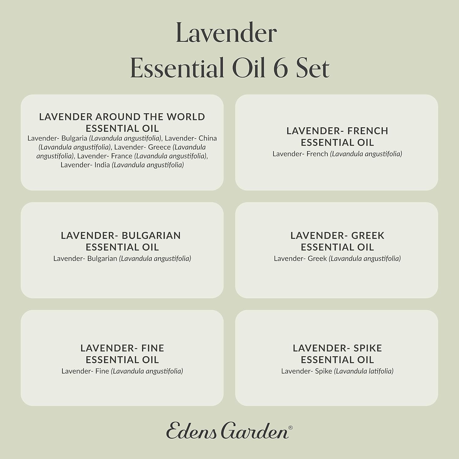 Edens Garden Lavender Essential Oils 6 Set – 100% Pure Therapeutic Grade Aromatherapy for Stress Relief, Calming & Home Diffusers – Natural, Vegan & Fragrance Oil Free Floral Scents, 10 ml/ 6 Pack