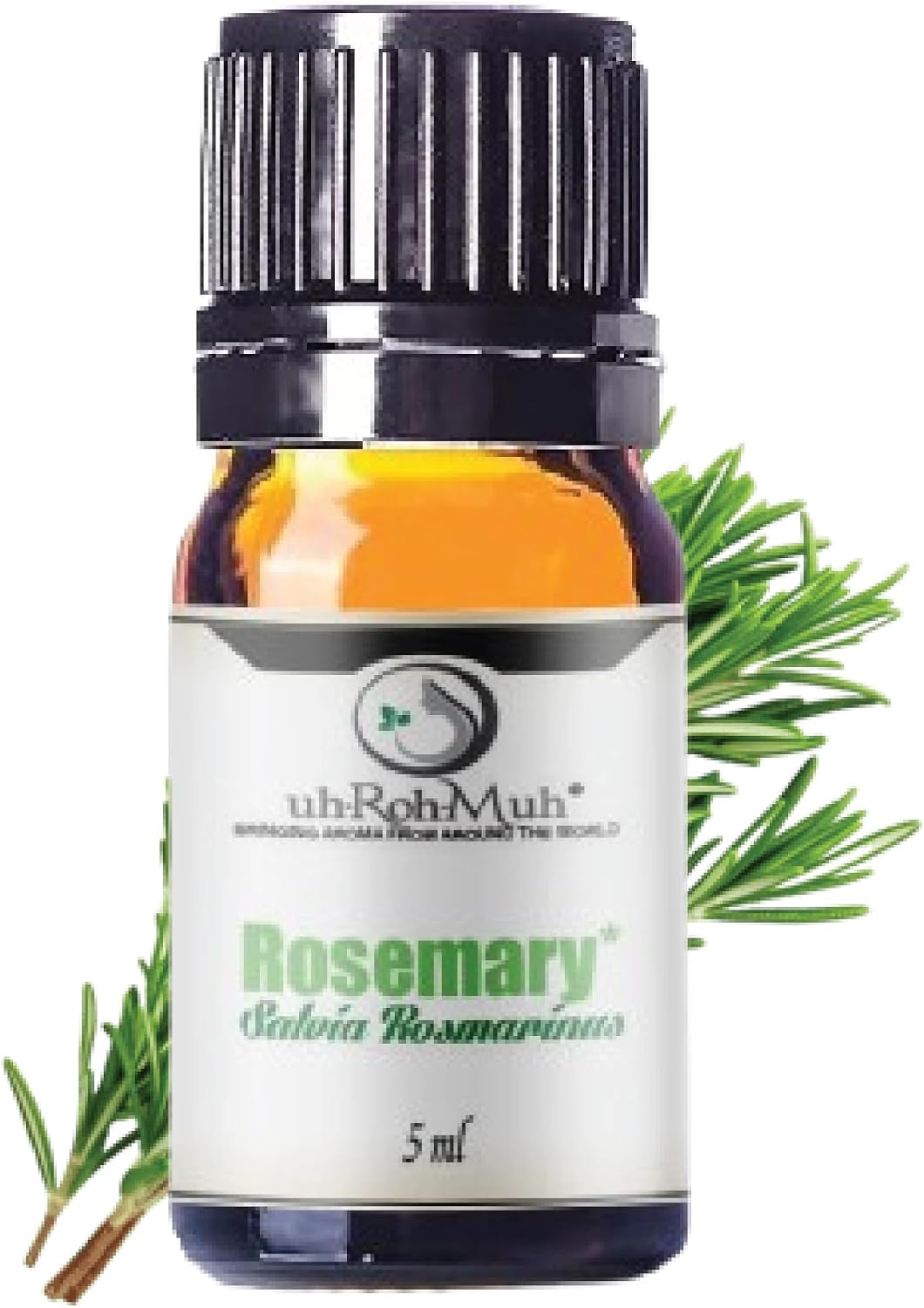 Organic Rosemary Essential Oil ct Camphor | 100% Pure Steam Distilled Aromatic Oil from Salvia rosmarinus Leaves | Fresh Herbaceous Camphor Aroma for Diffusers, Haircare | Spain 5ml w/Euro Dropper