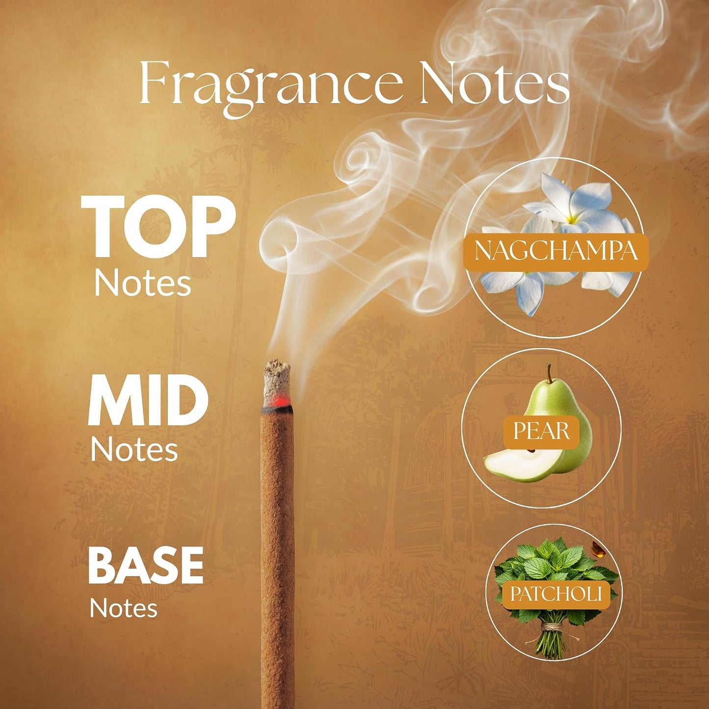 Bambooless Incense Sticks | Natural Agarbatti for Pooja, Meditation & Relaxation | Chemical-Free, Long-Lasting Fragrance | 40 Sticks Per Pack (Nagchampa)