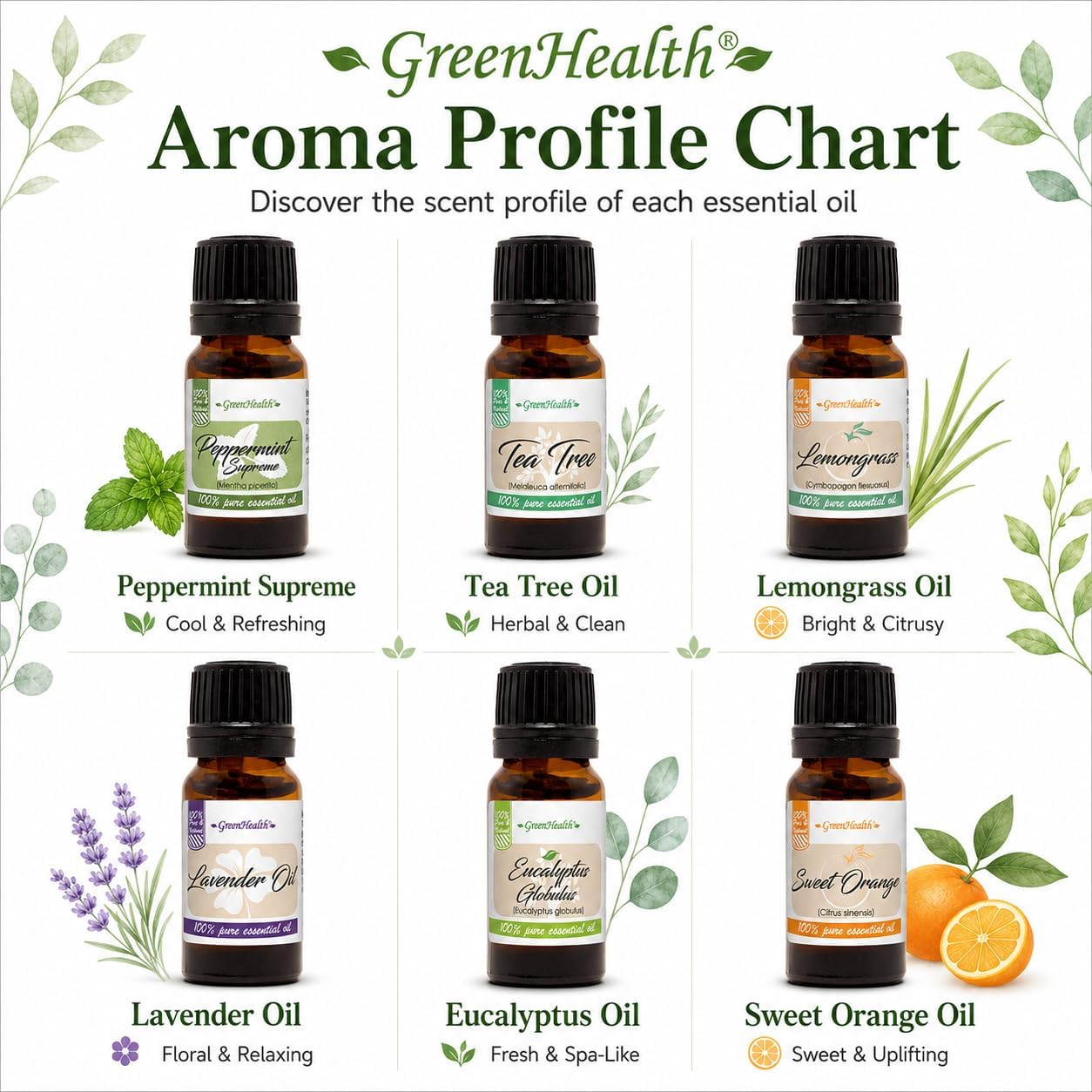 GreenHealth Top 6 Essential Oil Gift Set – 100% Pure Therapeutic Grade – Lavender, Tea Tree, Eucalyptus, Lemongrass, Sweet Orange, Peppermint – Aromatherapy & Diffuser Oils 6x10ml
