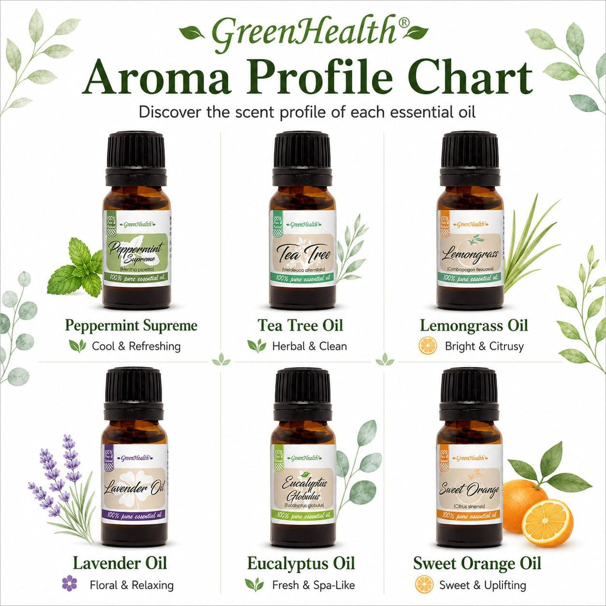 GreenHealth Top 6 Essential Oil Gift Set – 100% Pure Therapeutic Grade – Lavender, Tea Tree, Eucalyptus, Lemongrass, Sweet Orange, Peppermint – Aromatherapy &amp; Diffuser Oils 6x10ml