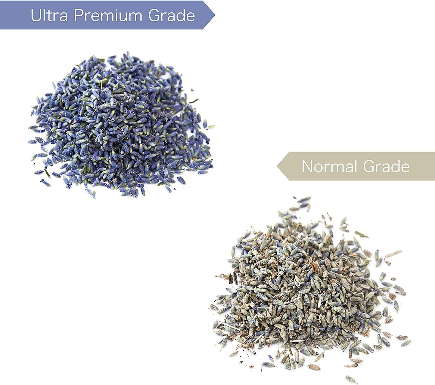 Lavande Sur Terre 4 Cups Lavender in Small Glass Bottle, Highland Dried Lavender Flower Buds, LV-G-2