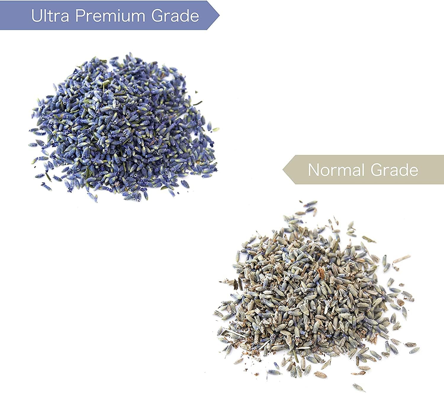 Lavande Sur Terre 4 Cups Lavender in Small Glass Bottle, Highland Dried Lavender Flower Buds, LV-G-2