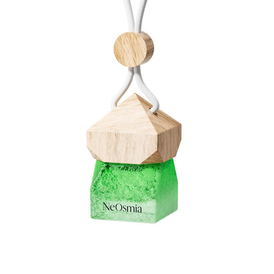 Hanging Car Diffuser