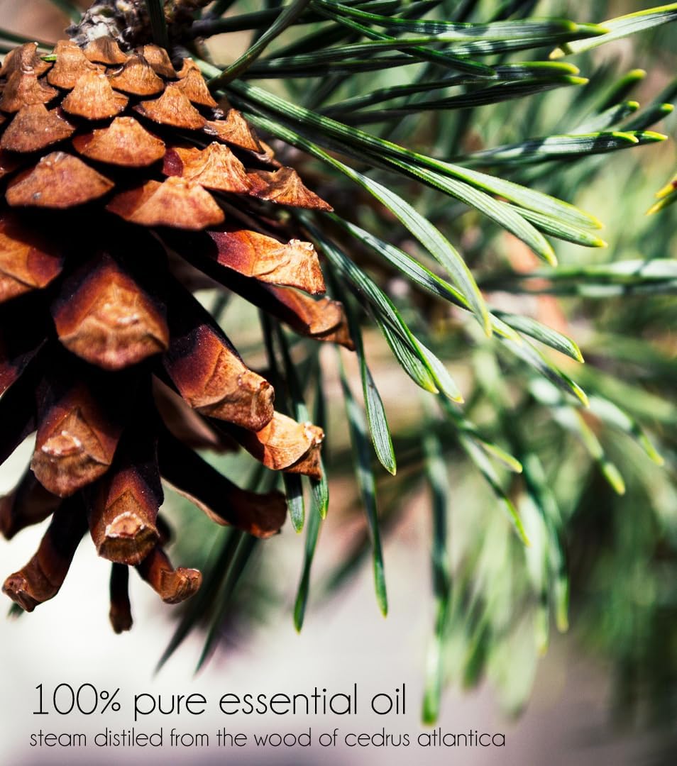 Cedarwood Atlas Essential Oil - 4 fl oz - 100% Pure Essential Oil - GreenHealth