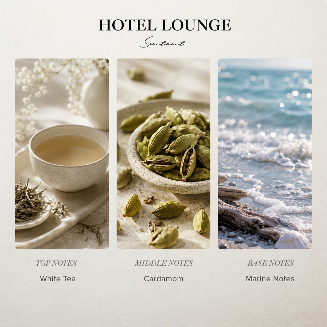 Scentiment Hotel Lounge Diffuser Oil - Premium Hotel Scent with Notes of White Tea, Cardamom & Marine Notes Home Scent, Hotel Fragrance Oil Diffuser Refill - 0.68 fl oz (20 mL)
