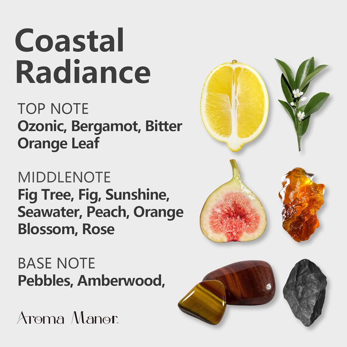 Hotel Collection - Coastal Radiance Essential Oil Scent - Luxury Hotel Inspired Aromatherapy Scent Diffuser Oil - Bergamot & Bitter Orange, Fig, Sunshine, Sea, Orange Blossom and Amberwood - 150mL
