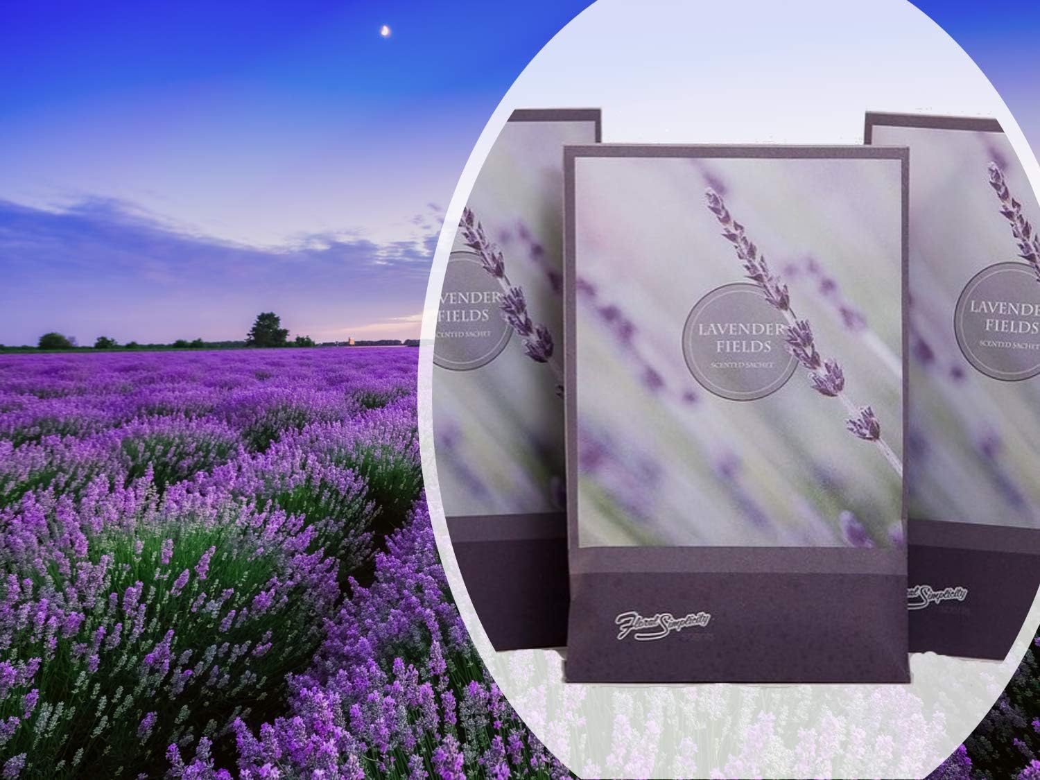 Simplicity Scents Lavender Scented Sachets Pack of 6, Everyday - Long-Lasting Scented Bags, Home Fragrance, Air Freshener & Deodorizer for Closet, Room, Drawer, or Cars, Made in USA