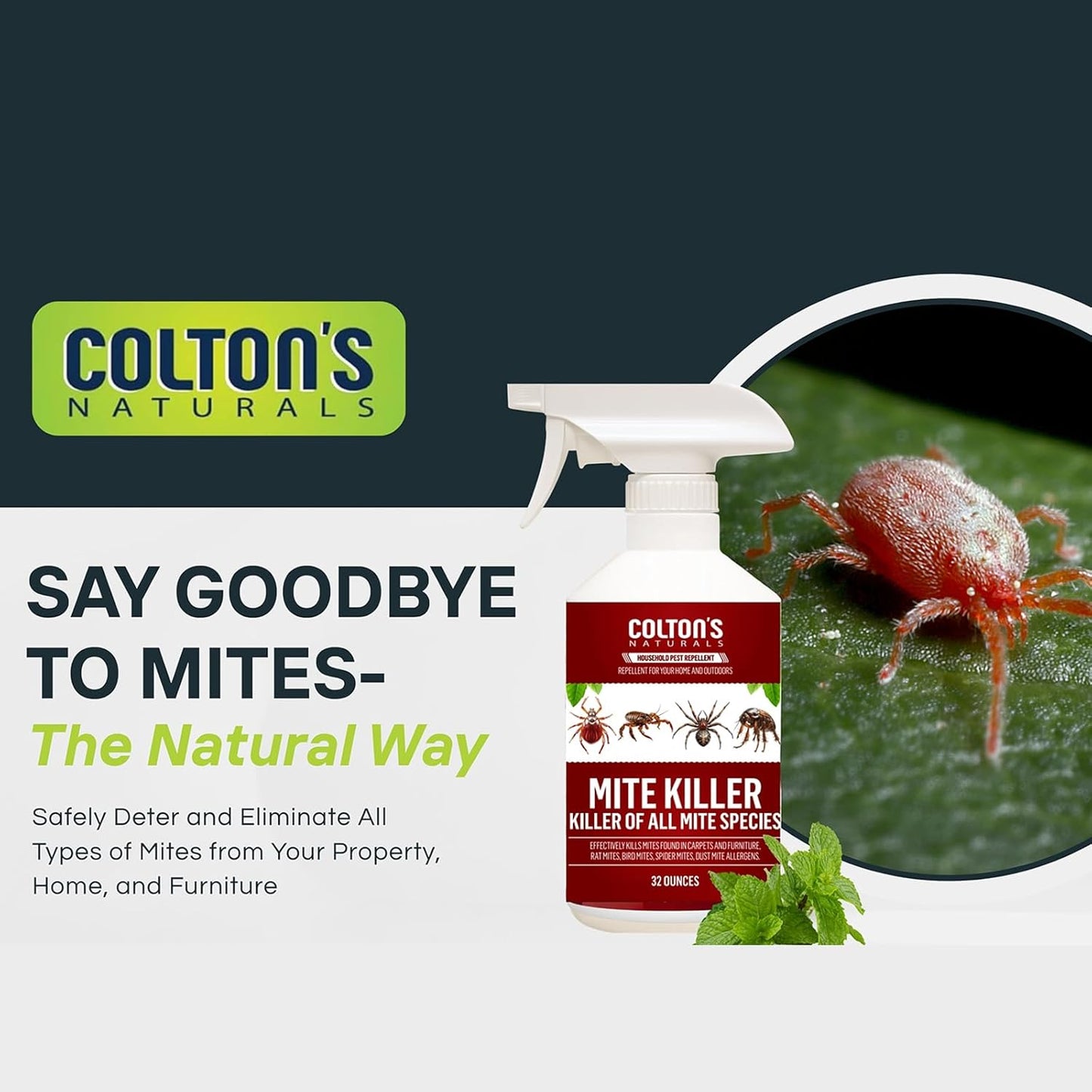 Mite Killer Spray – Kills Dust, Bird, Carpet & Household Mites Fast | Non-Toxic, Kid & Pet Safe Formula for Bedding, Furniture & Home | 16 oz