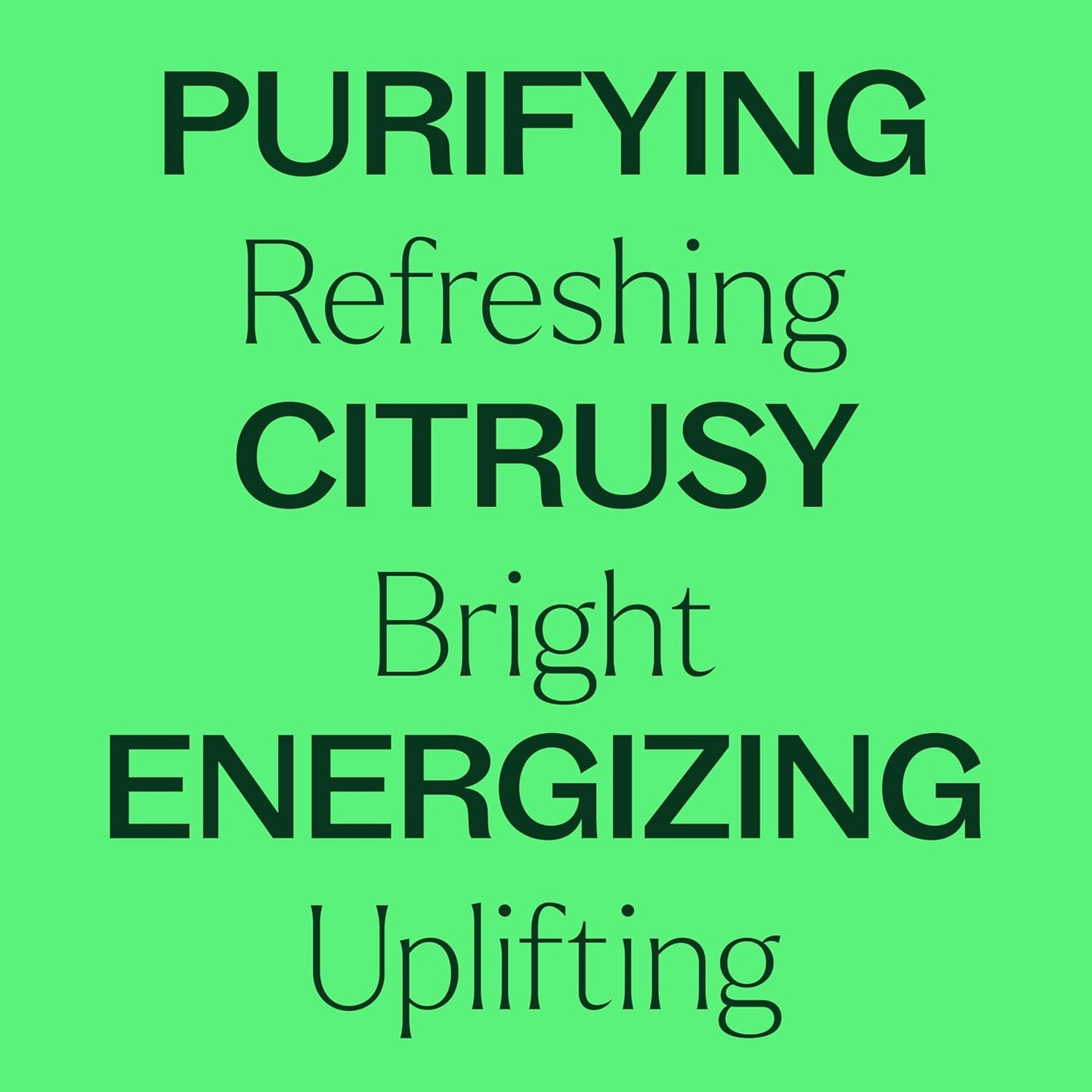 Plant Therapy Lime Steam Distilled Essential Oil 10 mL (1/3 oz) 100% Pure, Undiluted, Fresh Scent, Mood Boosting, Immune Support