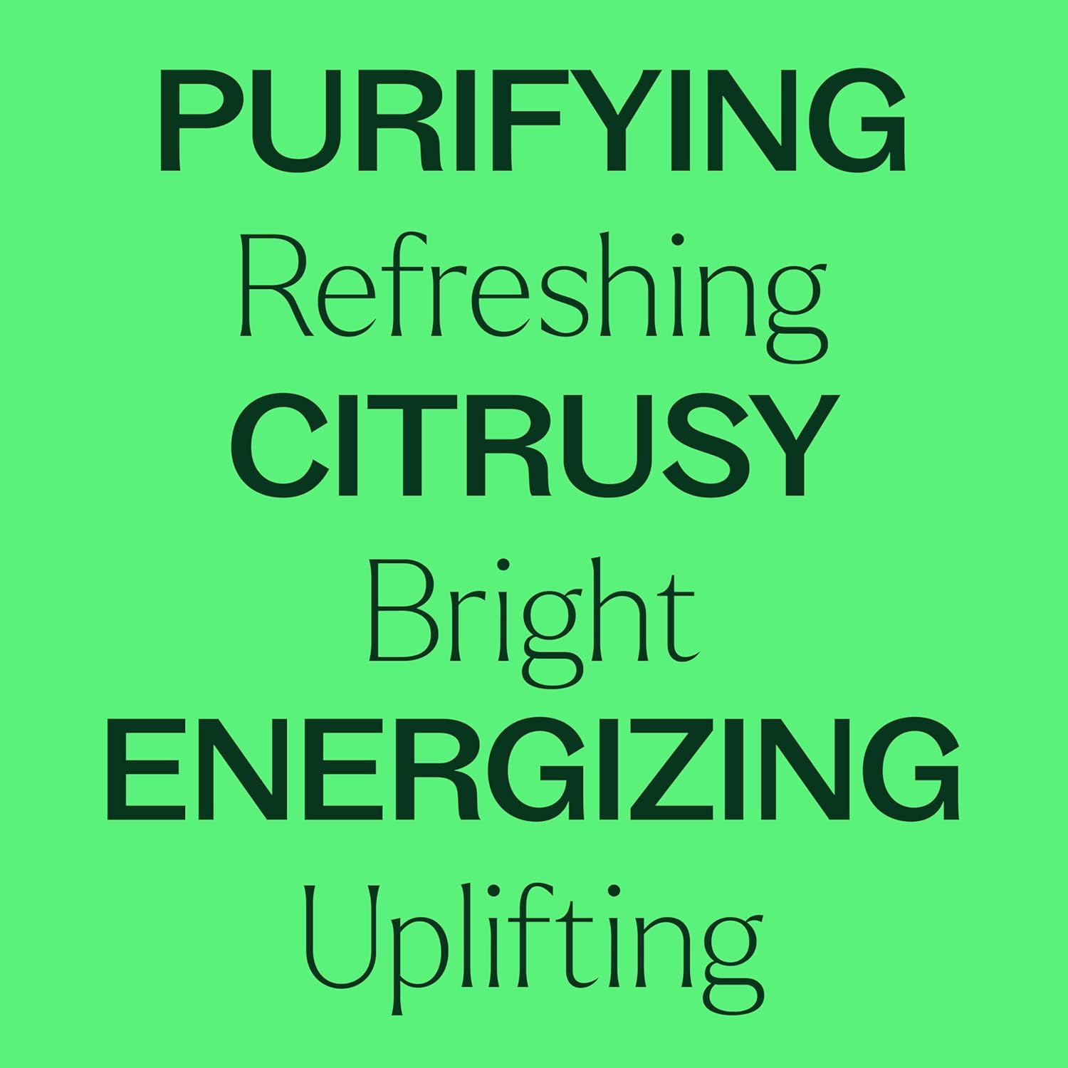 Plant Therapy Lime Steam Distilled Essential Oil 10 mL (1/3 oz) 100% Pure, Undiluted, Fresh Scent, Mood Boosting, Immune Support