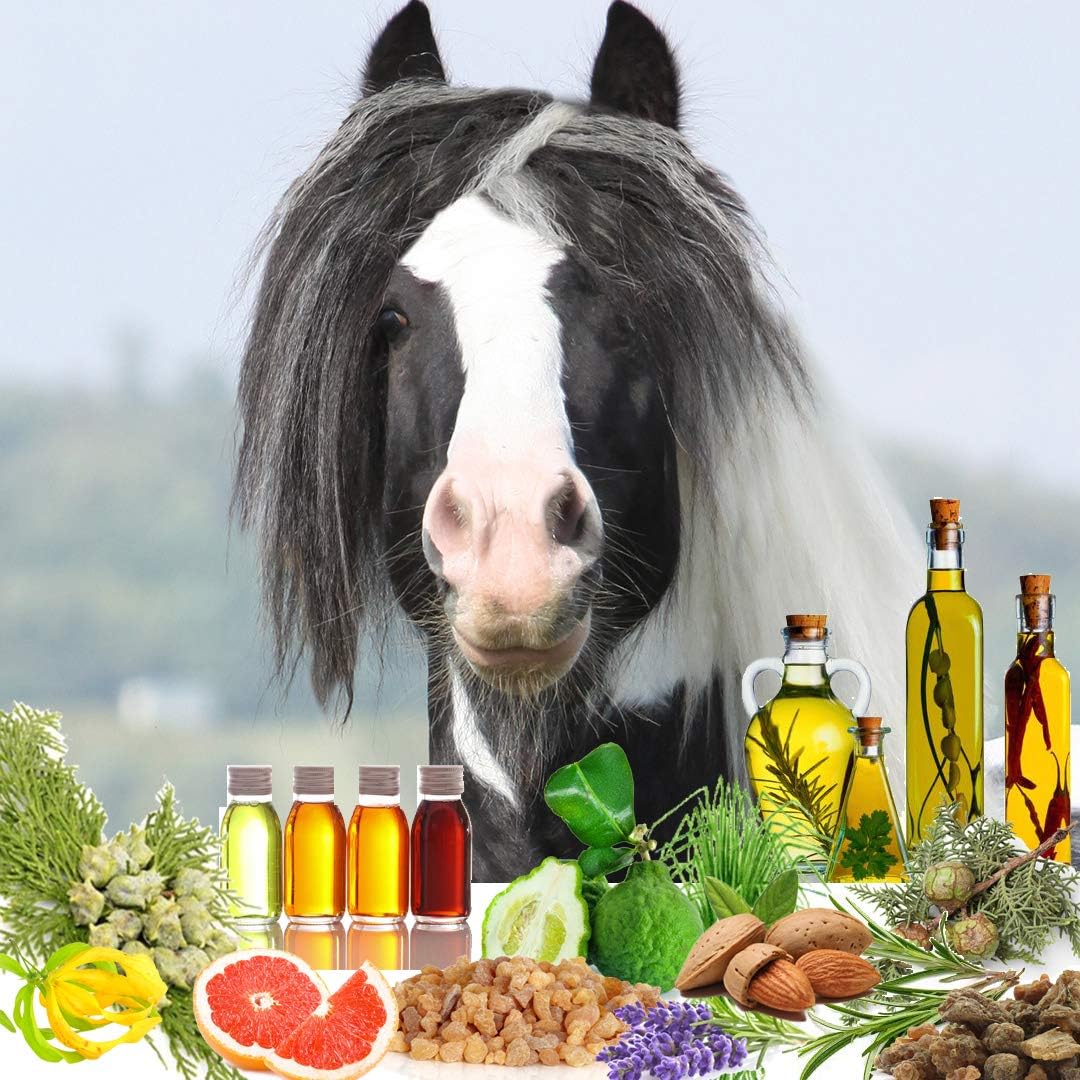 The Blissful Horses Focus Roll On Horse Aromatherapy All Natural Support for Concentration