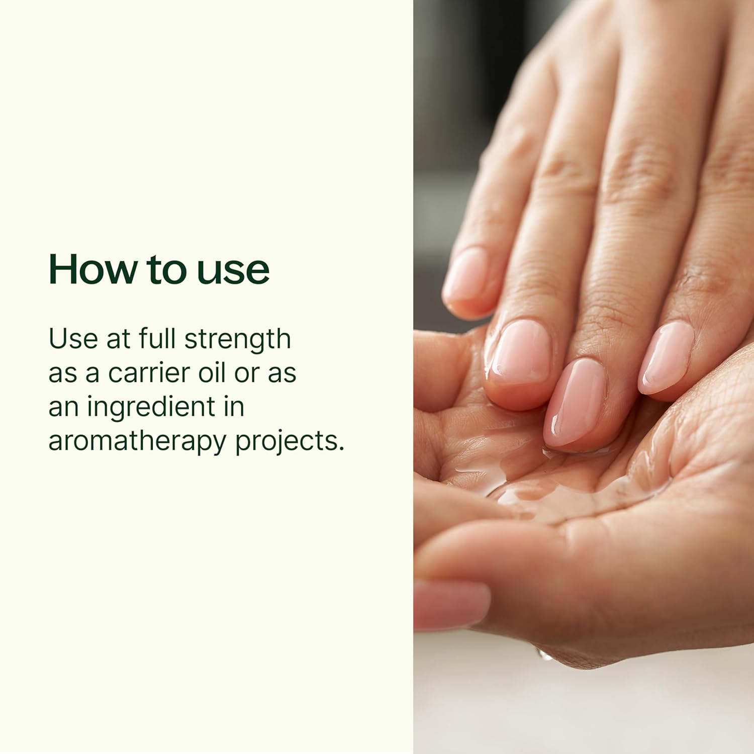Plant Therapy Sweet Almond Oil 4 oz – 100% Pure, Massage & Aromatherapy Carrier Oil, Unscented, Made in USA