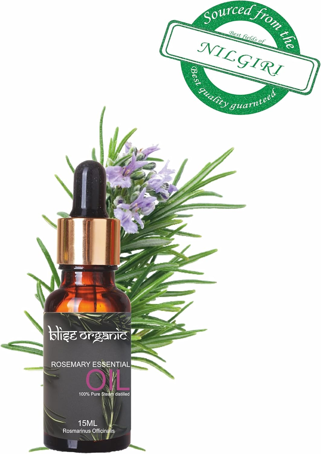 Blise organic Rosemary Essential Oil -100% Pure and Naturals for Hair Fall Control and Hair Growth, Undiluted, Natural Aromatherapy for Diffuser, Therapeutic Grade 15 mL (0.5 oz), Non GMO