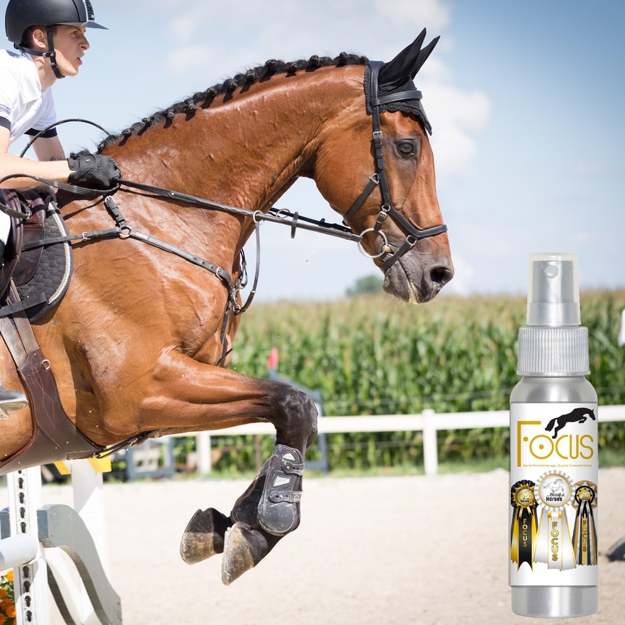 The Blissful Horses Focus Roll On Horse Aromatherapy All Natural Support for Concentration