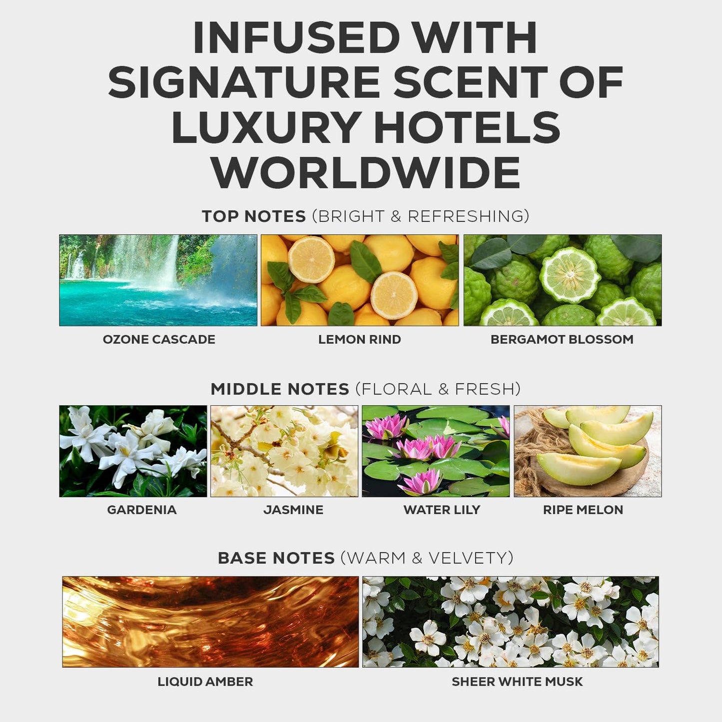 Aroma Country Ritzy Luxury Hotel Diffuser Oil - Luxury Hotel Scent for Diffuser & Air Fresheners - Essential Oil Diffuser Refill, Home Fragrance Collection with Gardenia & Amber (8.5 Fl. Oz)