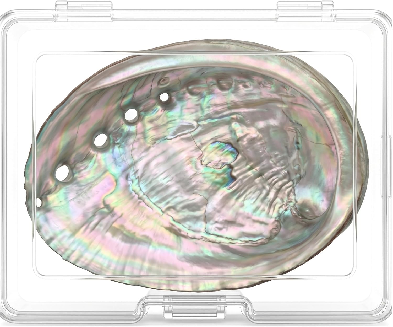 BRBASAP Large Abalone Shell Bowl with a Clear Box 4.7-5.12 Inch Natural Smudge Bowl for Sage Burning and Incense Sea Shell Smudging Bowl for Decor and Display