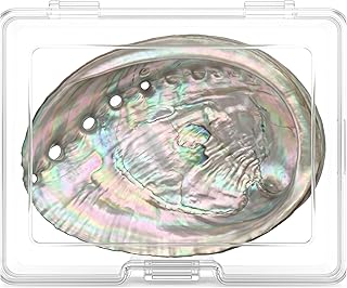 BRBASAP Large Abalone Shell Bowl with a Clear Box 4.7-5.12 Inch Natural Smudge Bowl for Sage Burning and Incense Sea Shell Smudging Bowl for Decor and Display