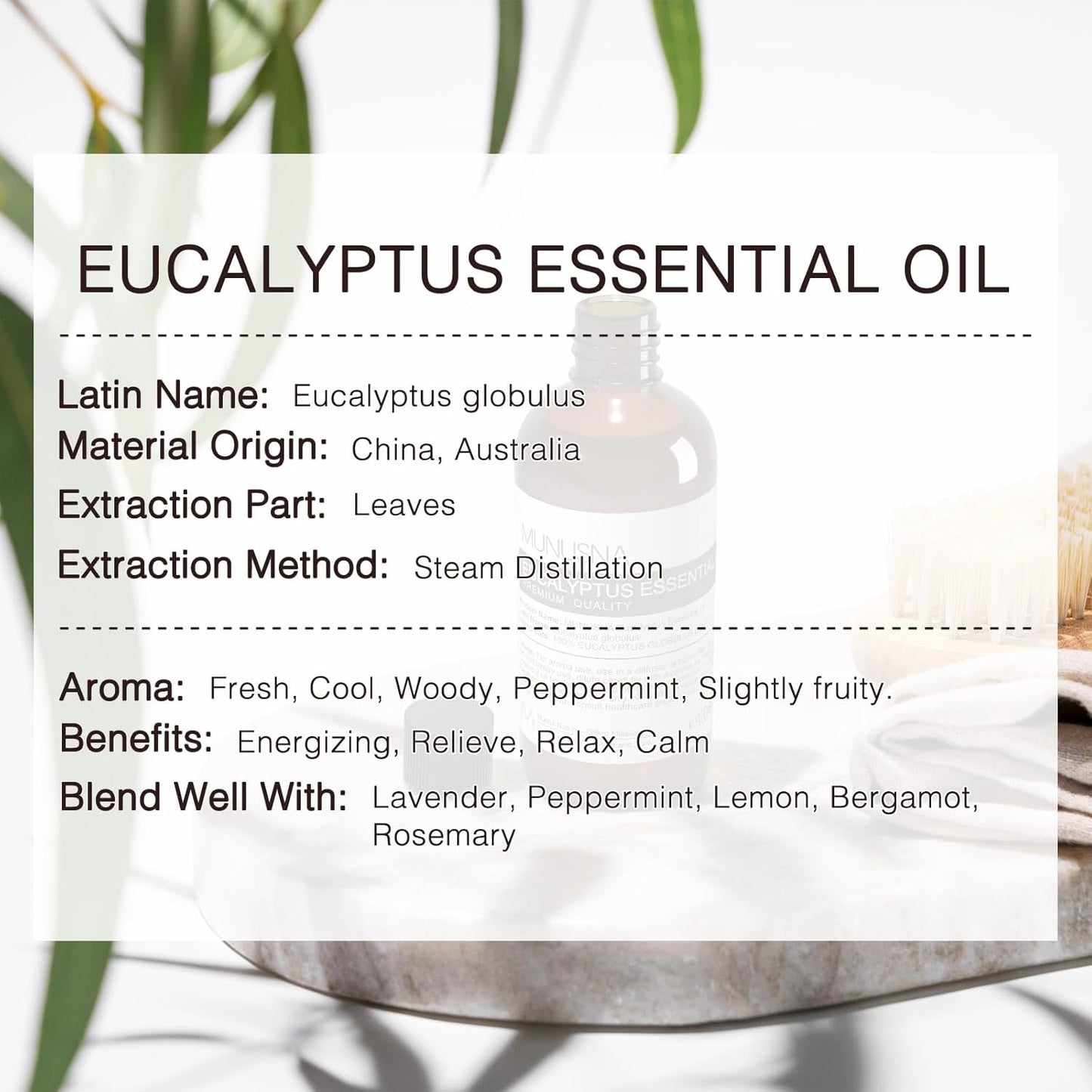 Eucalyptus Essential Oil, Premium Grade Pure Eucalyptus Oils 100ML, 100% Natural Aromatherapy Essential Oil for Shower, Skin, Diffuser, Massage, Candle, Soap, Bath Bombs Making