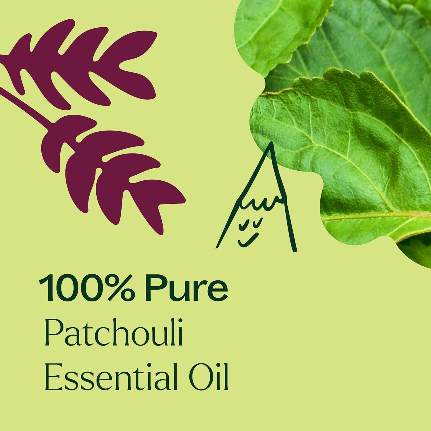 Plant Therapy Patchouli Essential Oil, 10 mL (1/3 oz), 100% Pure and Undiluted, Great for DIY Skincare and Essential Oil Diffusers