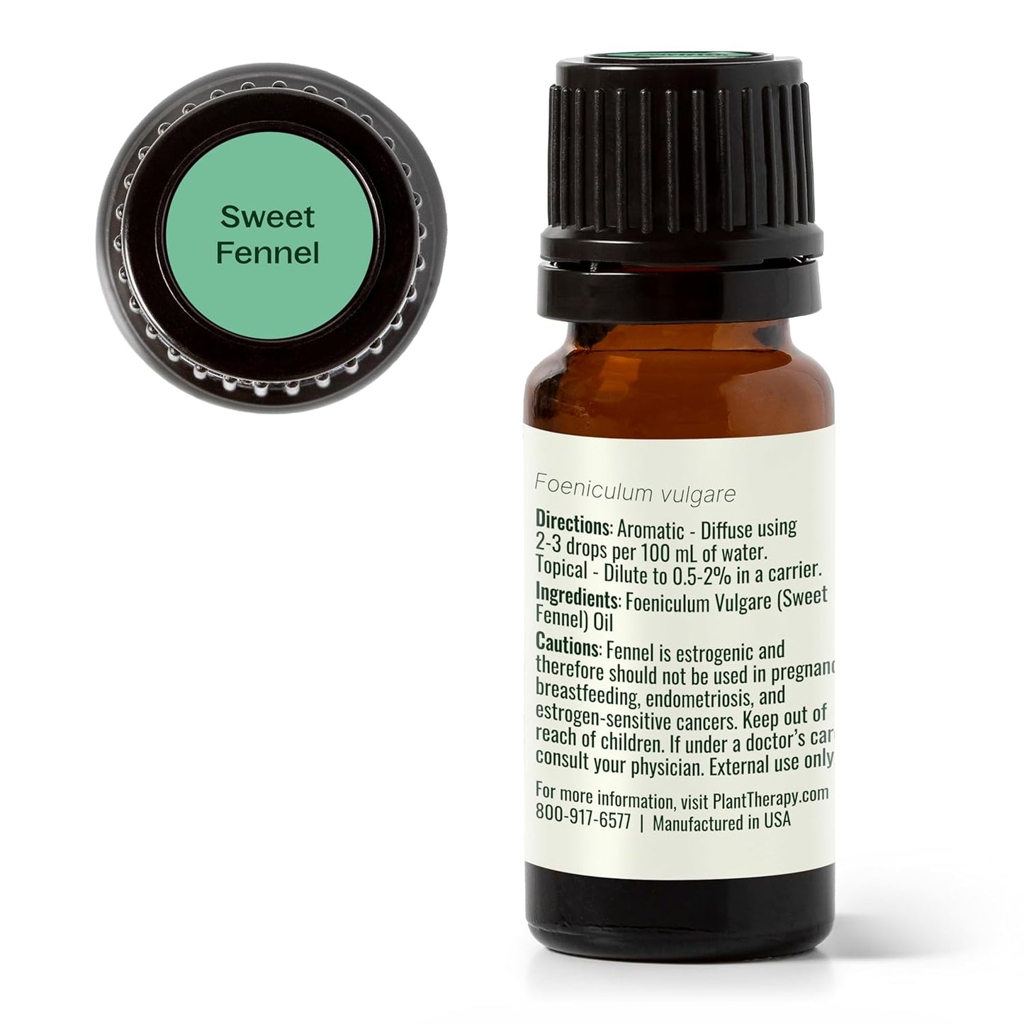 Plant Therapy Sweet Fennel Essential Oil 10 mL (1/3 oz) 100% Pure, Undiluted, Aromatherapy for Attention, Focus, and Digestive Discomfort