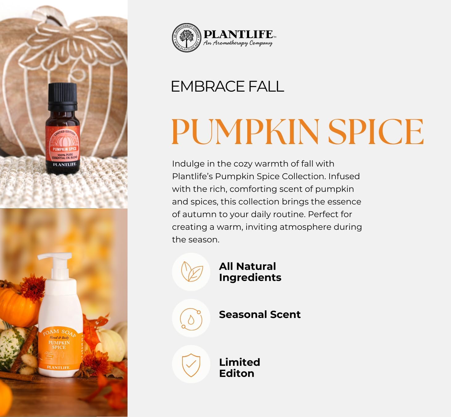 Plantlife Pumpkin Spice Aromatherapy Essential Oil Blend - Straight from The Plant 100% Pure Therapeutic Grade - No Additives or Fillers - Made in California 10 ml