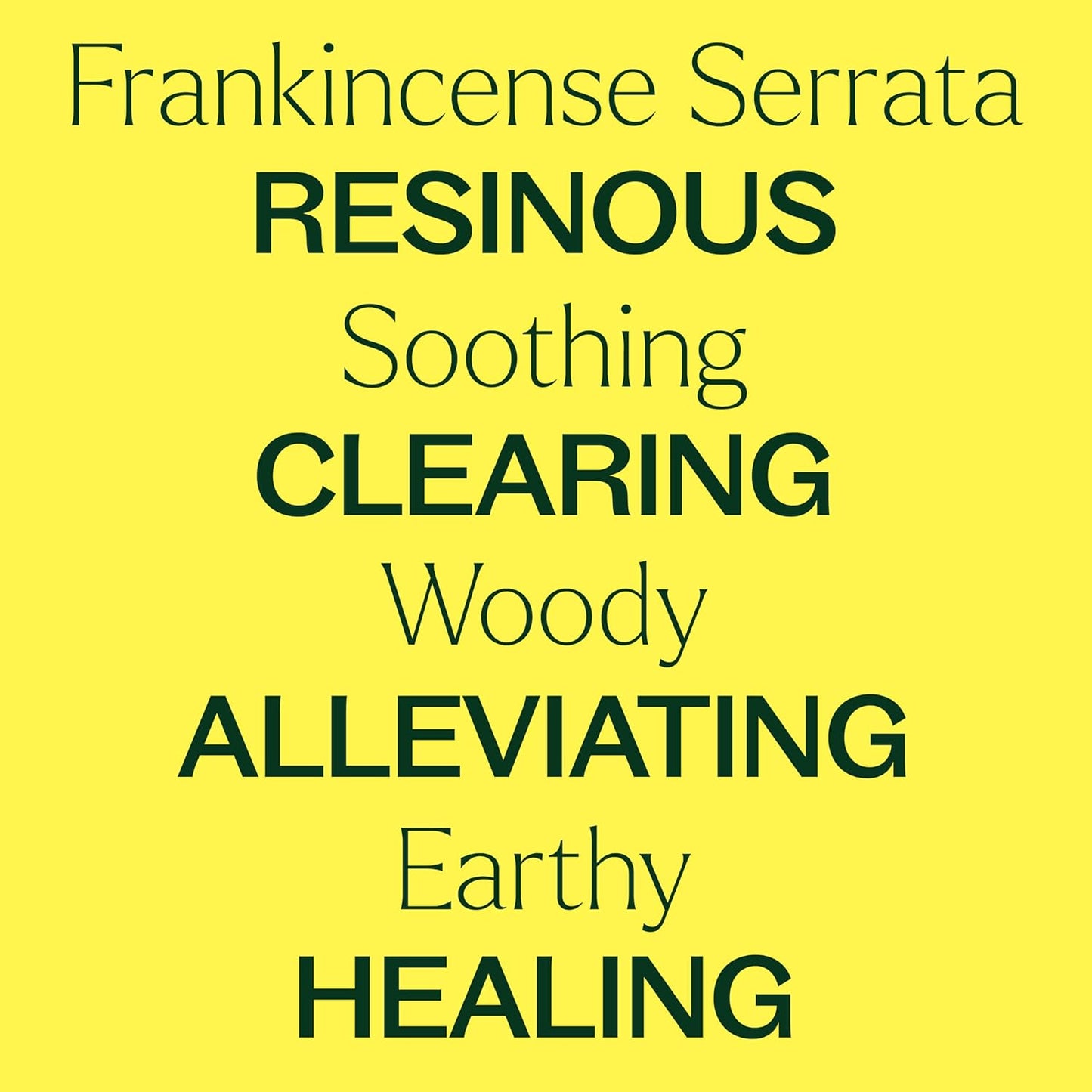 Plant Therapy Frankincense Serrata Essential Oil 100 mL (3.3 oz) 100% Pure, Undiluted, Grounding Aromatherapy and Soothing Skin Care