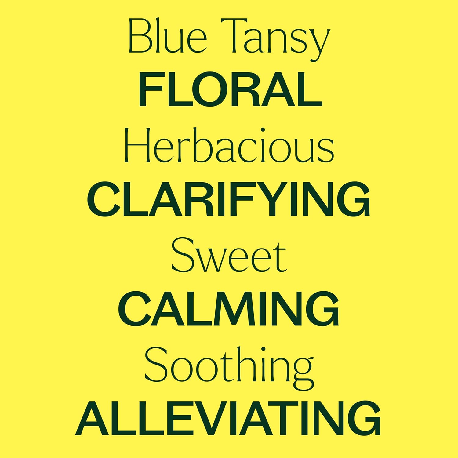 Plant Therapy Blue Tansy Essential Oil 100% Pure, Undiluted, 10 mL (1/3 oz), Herbaceous and Apple-Like Aroma, Great for Diffusers
