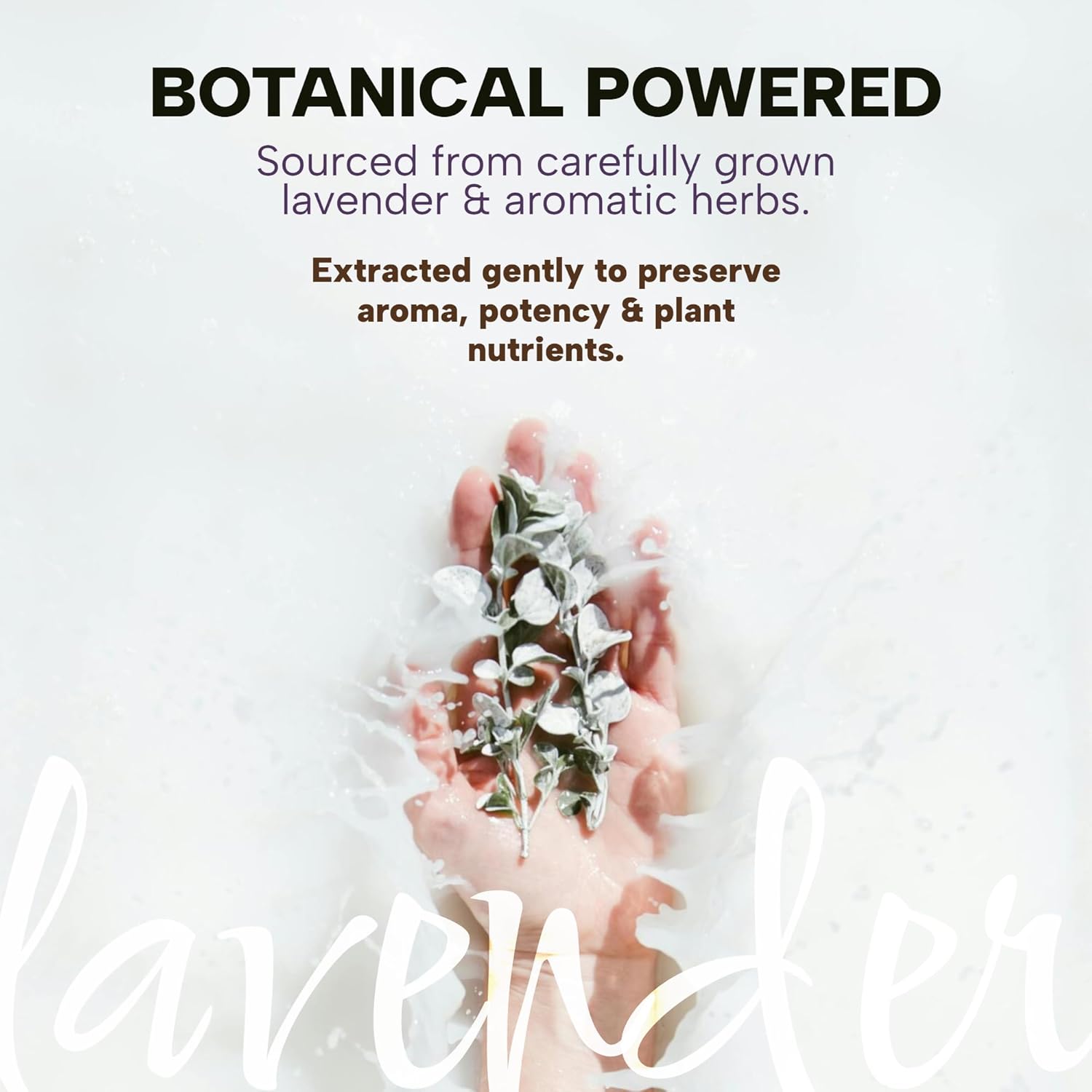 Dr. Lavender Natural Rosemary Essential Oil - 100% Botanical Scent for Hair Appearance & Scalp Massage - Revitalizing Aroma for Diffuser & Home Fragrance - 10ml