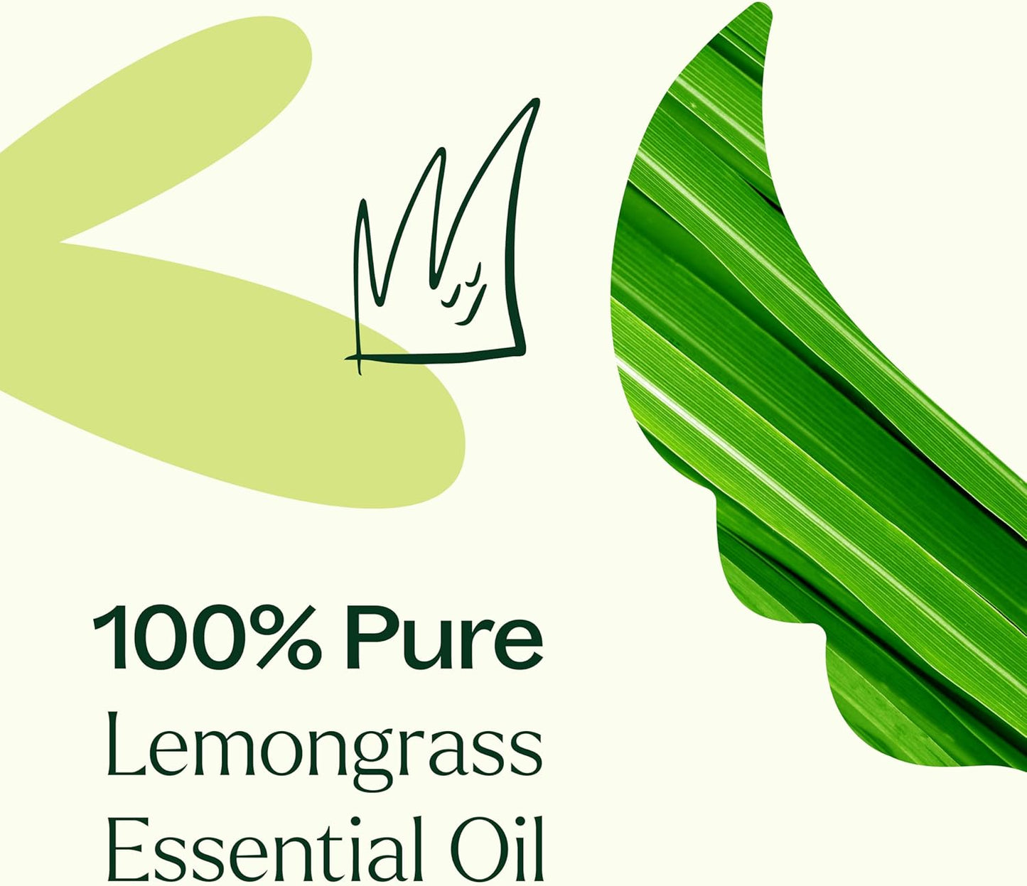 Plant Therapy Organic Lemongrass Essential Oil 30 mL (1 oz), 100% Pure, USDA Certified Organic, Undiluted, Aromatherapy, Deodorizing, and Immune Support