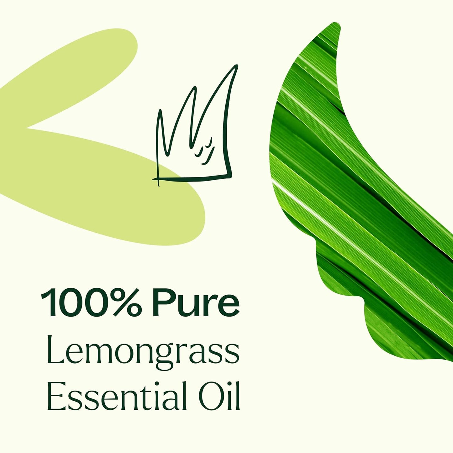 Plant Therapy Organic Lemongrass Essential Oil 10 mL (1/3 oz), 100% Pure, Undiluted, Aromatherapy, Deodorizing, and Immune Support